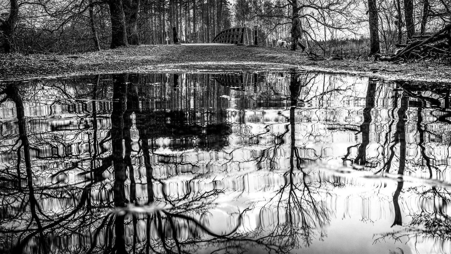 Annas Hoeve--11.jpg