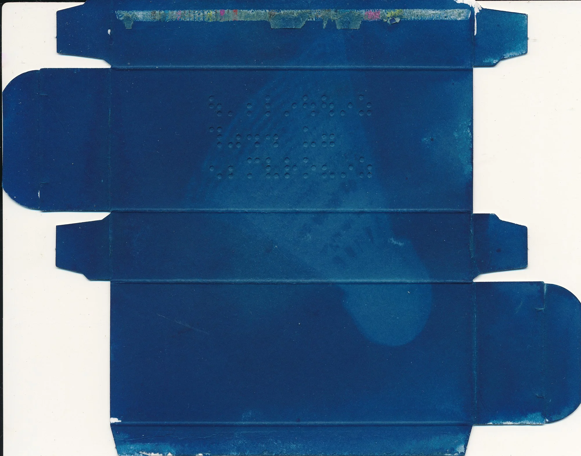 Cyano 250712-0010.jpg