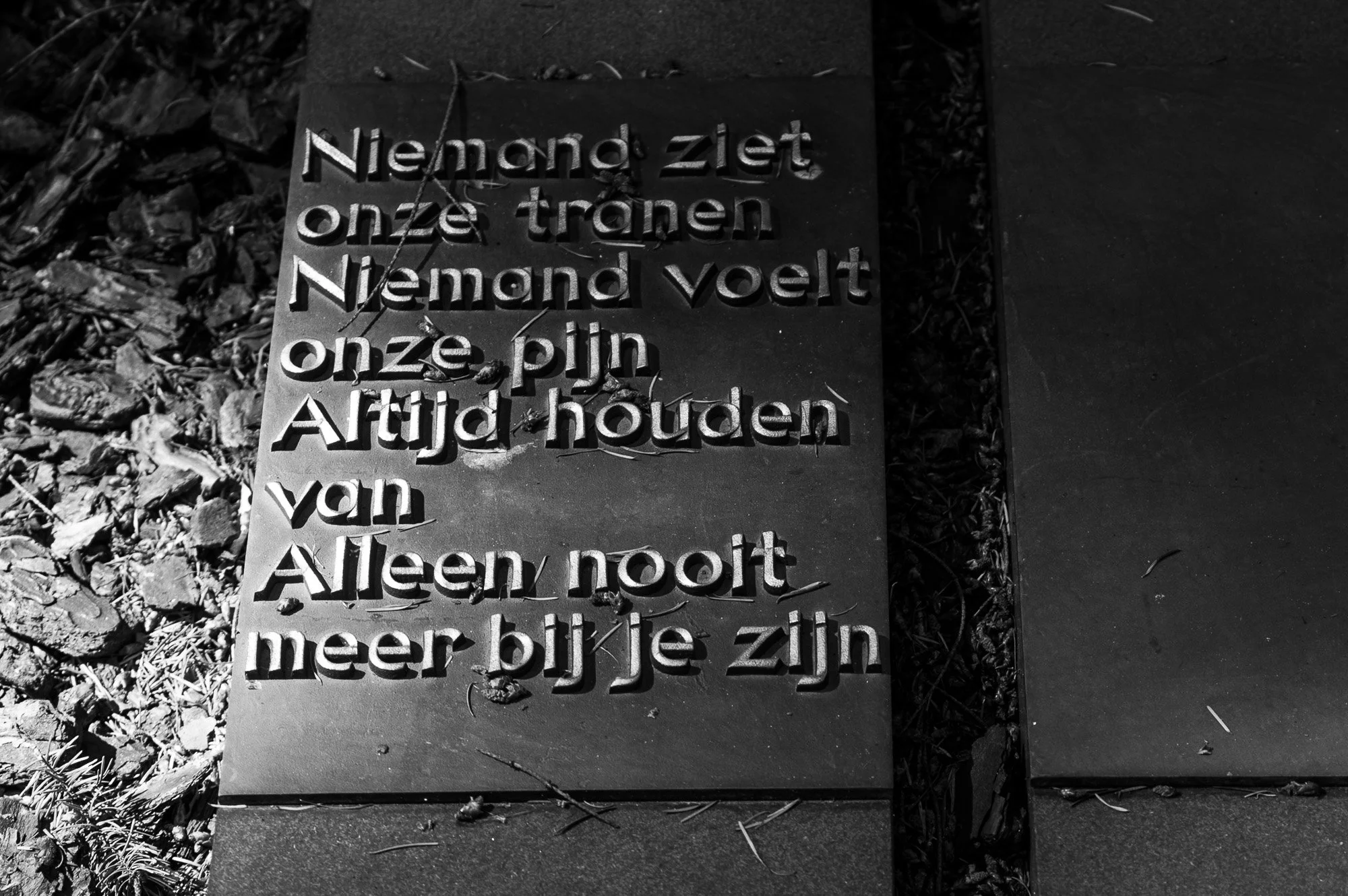 Begraafplaats  2004-0008.jpg