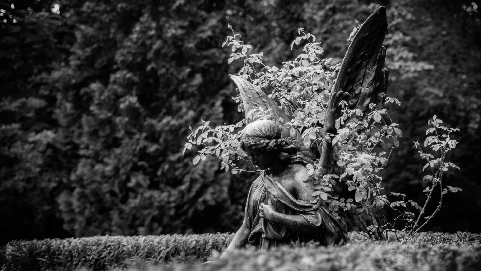 Begraafplaats Keulen Melaten friedhof-.jpg