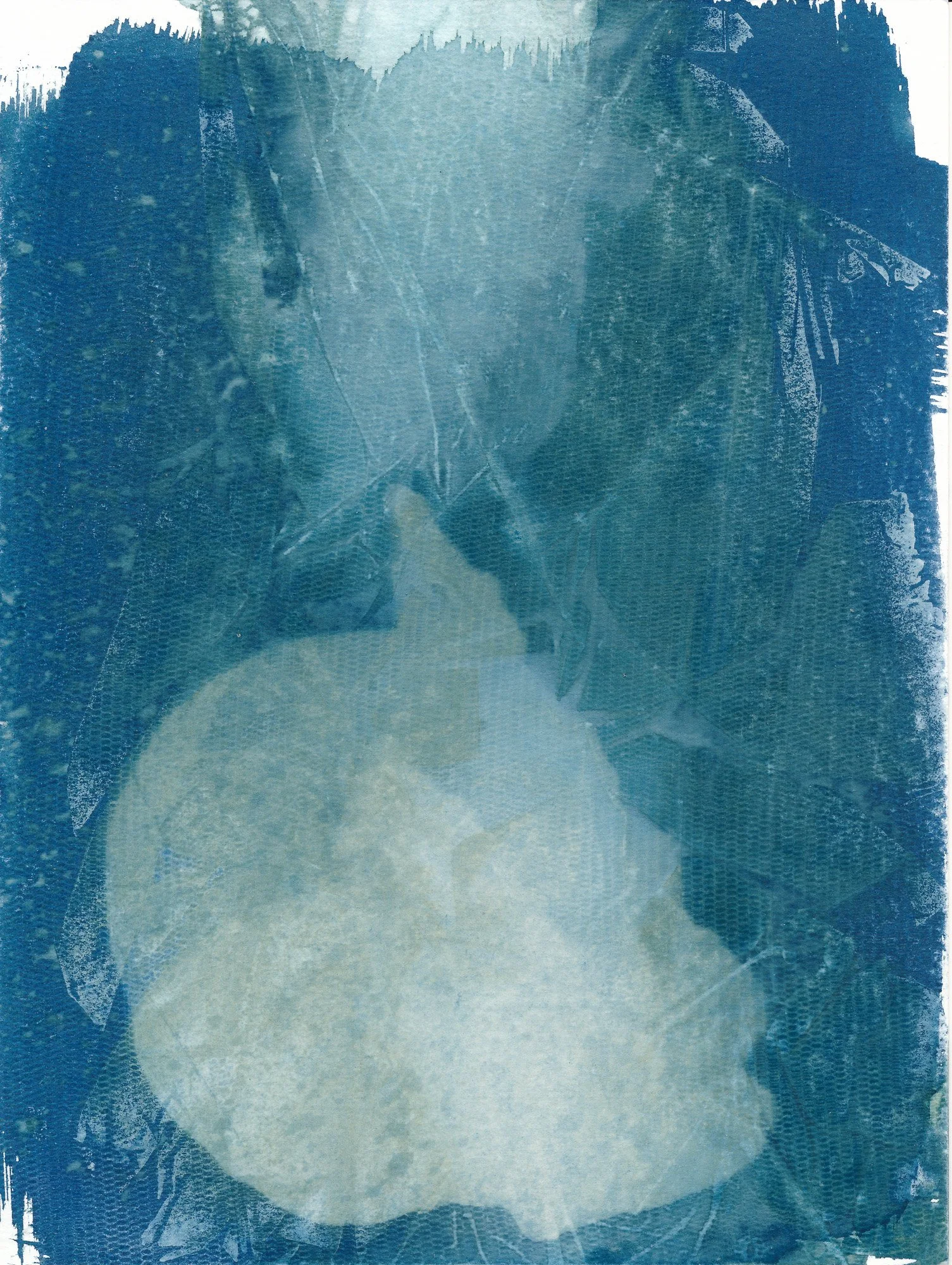 Cyano 250712-0006.jpg