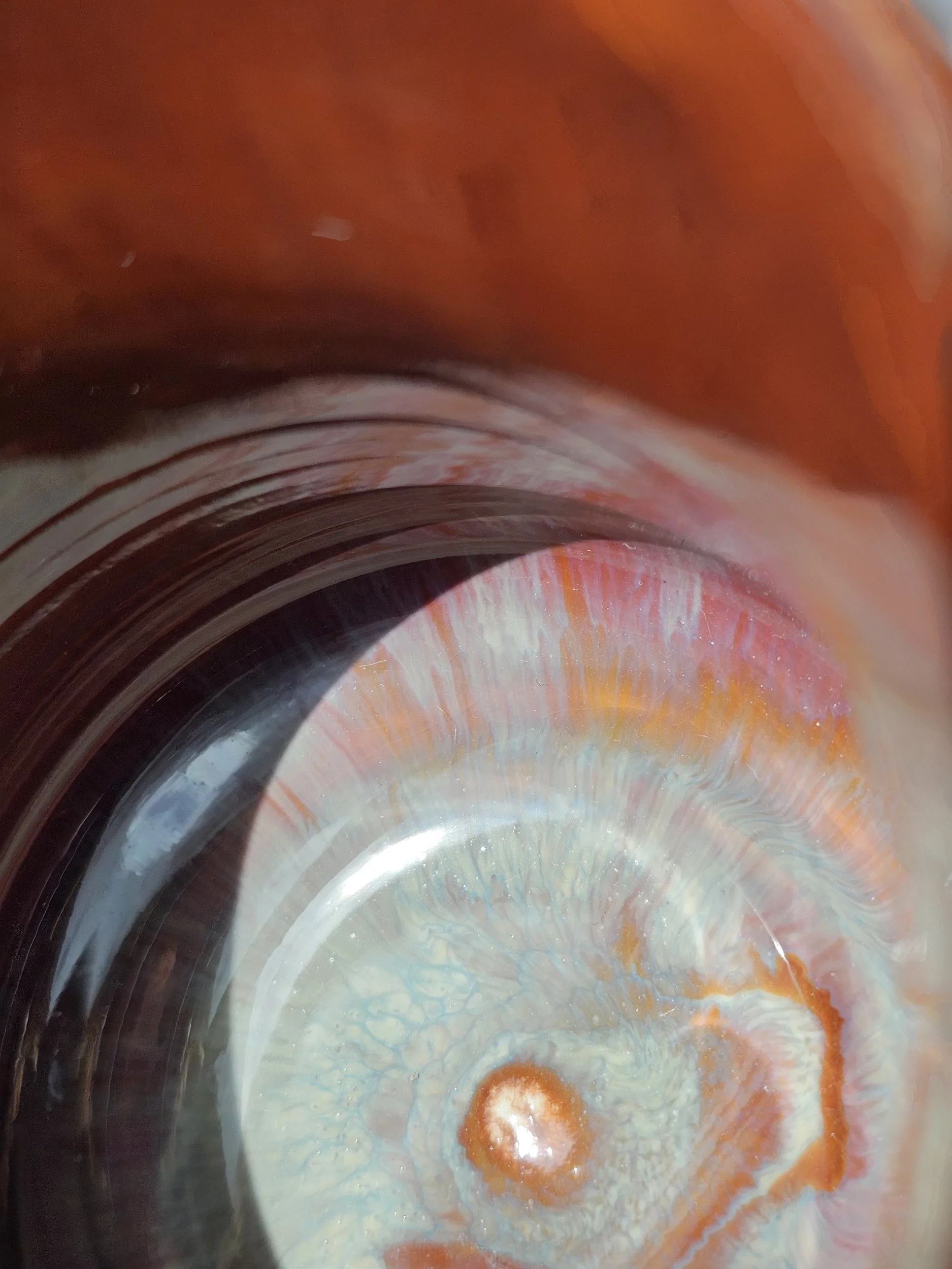 processed_1000040935.jpg