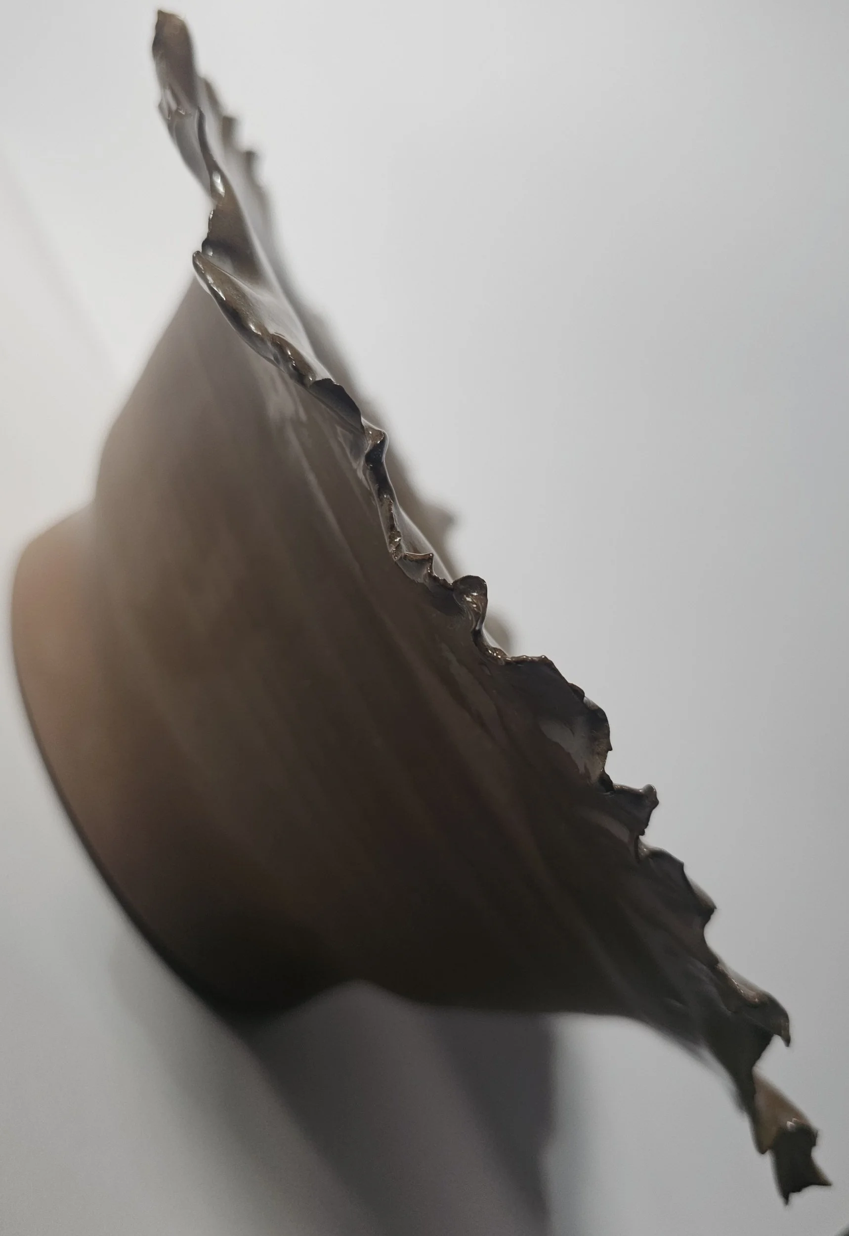 processed_1000038964.jpg