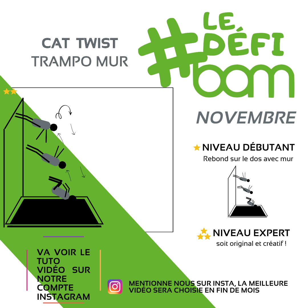 Novembre - Salle.png