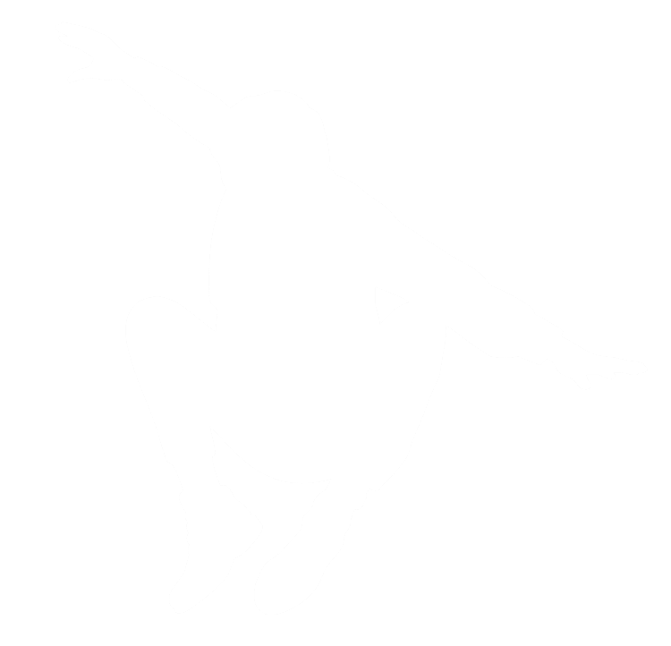 Silhouette d'une personne faisant une figure de danse acrobatique dans l'air, bras étendus, contre un fond noir.