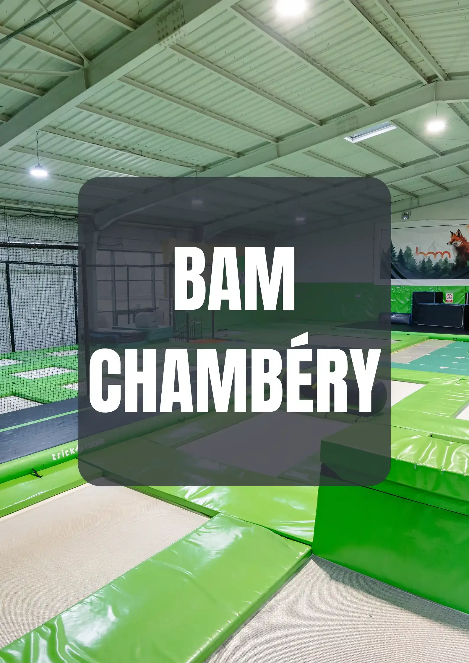 Photo de la salle de trampoline de BAM FREESPORTS Chambéry