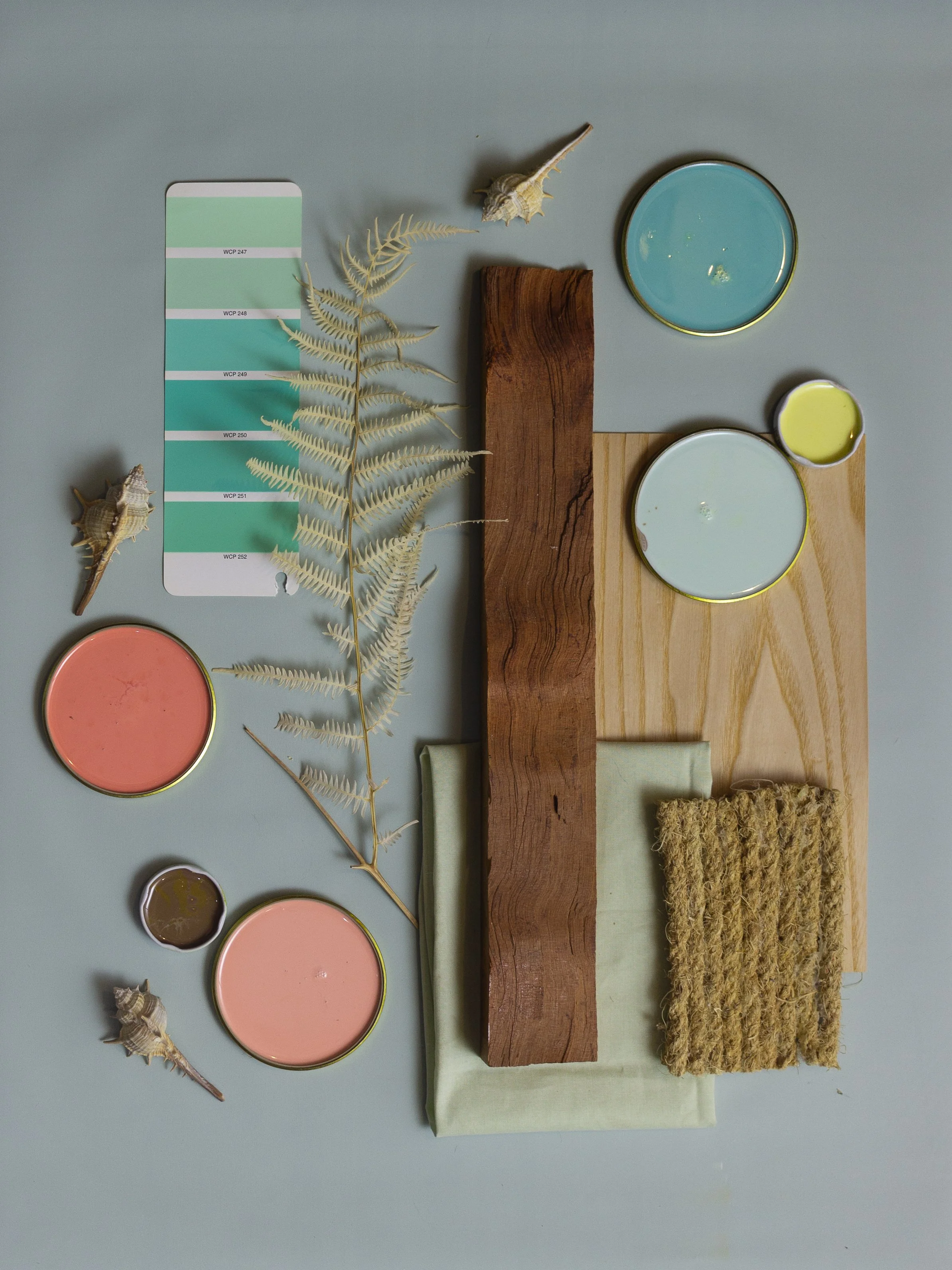 Various colored paints in small round containers, seashells, a dry fern leaf, a wooden plank, pieces of fabric, and a piece of natural fiber rug arranged on a surface. ADU. Accessory Dwelling Unit. Porchlight.