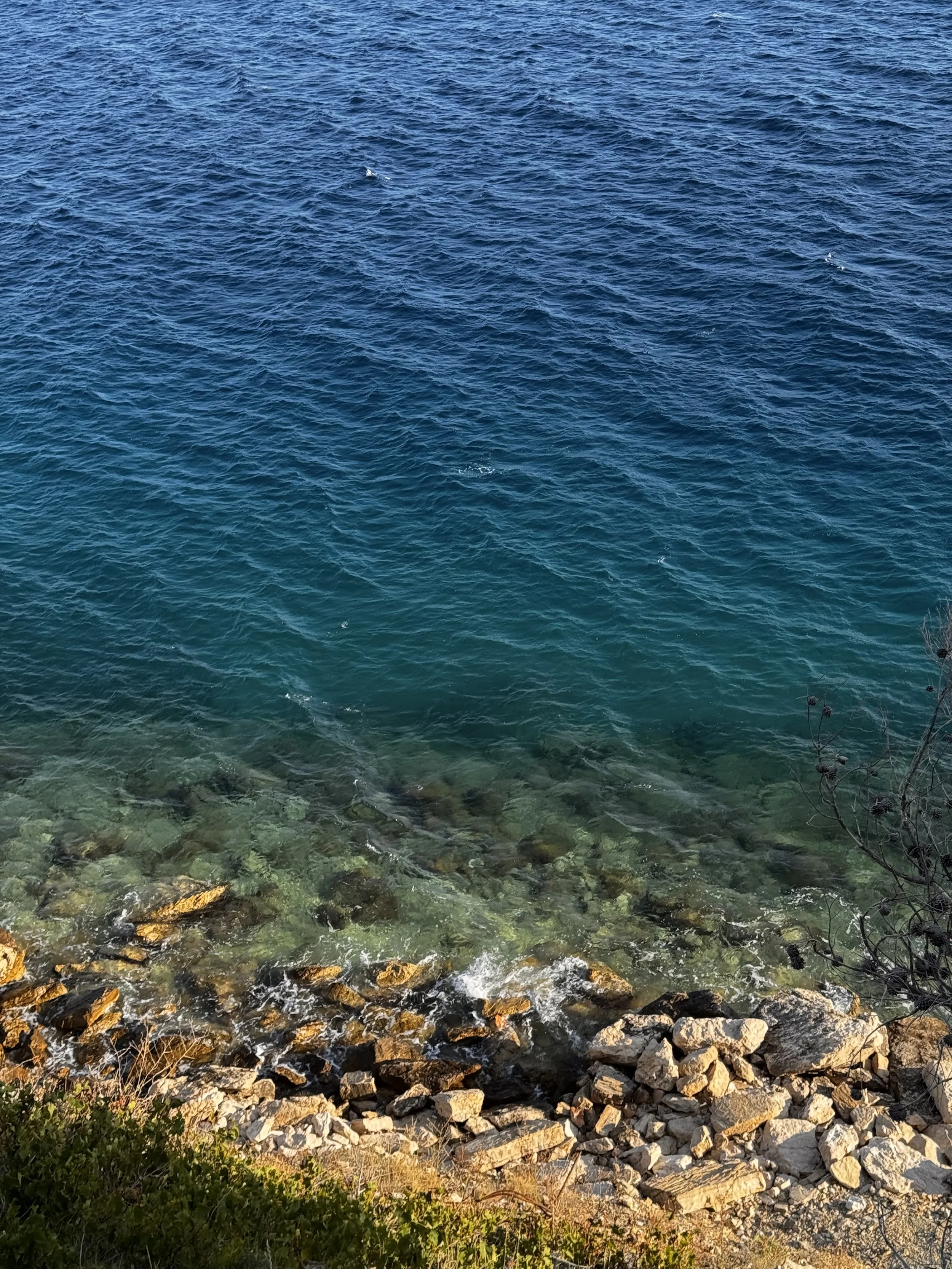 IMG_0438.jpeg