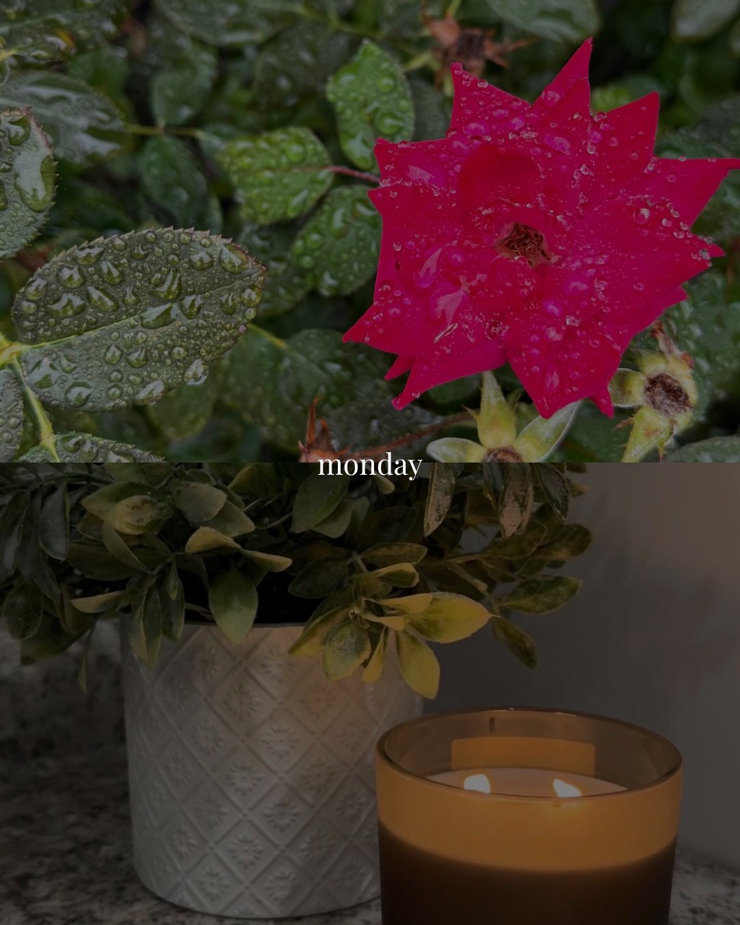 a week in little moments 🤍

#LeominsterMA #LeominsterEsthetician #CentralMAEsthetician #MassachusettsEsthetician #leominsterfacials