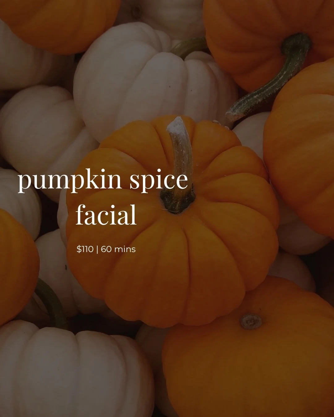 your fall reset, but make it skincare 🎃✨

The Pumpkin Spice Facial combines results driven skincare with all the cozy details of fall. Pumpkin + glycolic exfoliation, a customized mask, facial massage, warm towels, pumpkin spice aromatherapy, a rela