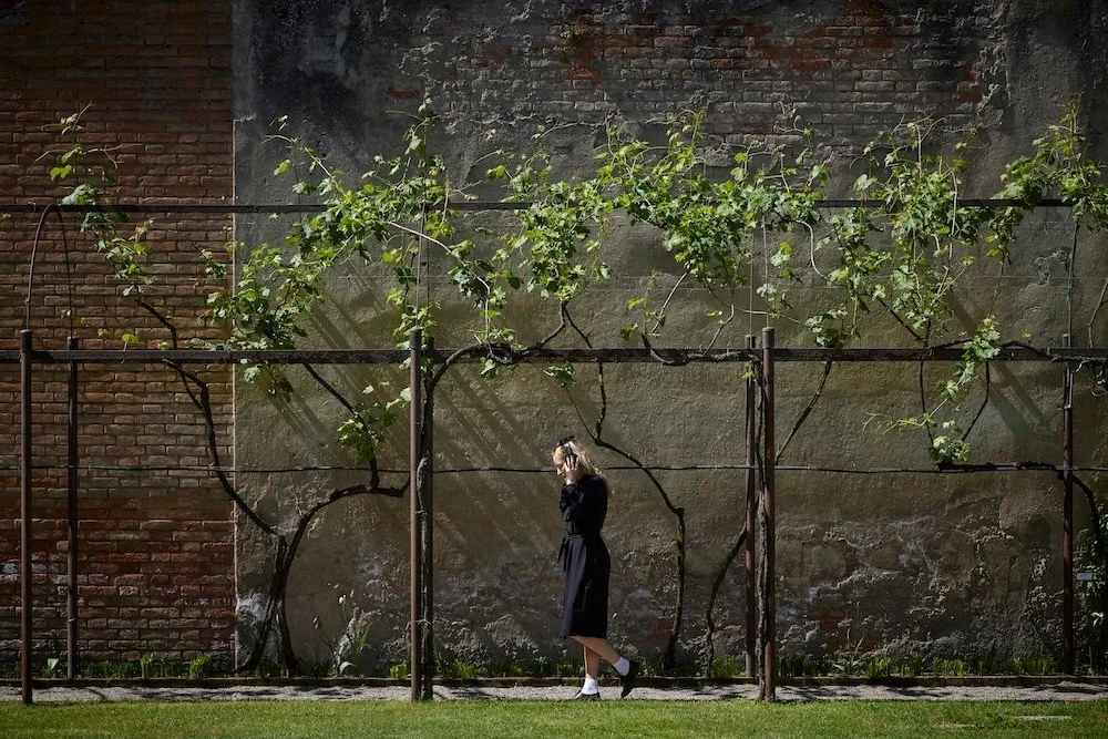 Holy See Pavilion &mdash; "The Ear is the Eye of the Soul"
Giardino Mistico dei Carmelitani Scalzi, Cannaregio &mdash; free entry, no Biennale ticket required &mdash; open through November 22

Most of the Venice Biennale competes for your e