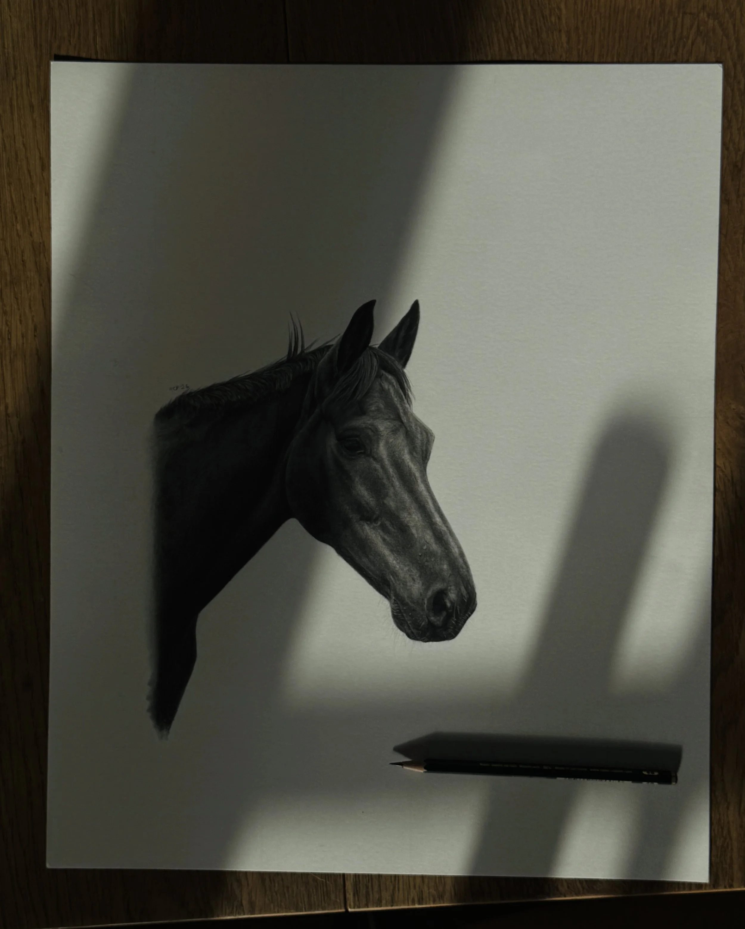 Artwork of a horse's head with detailed features, shown on a piece of paper on a wooden surface.