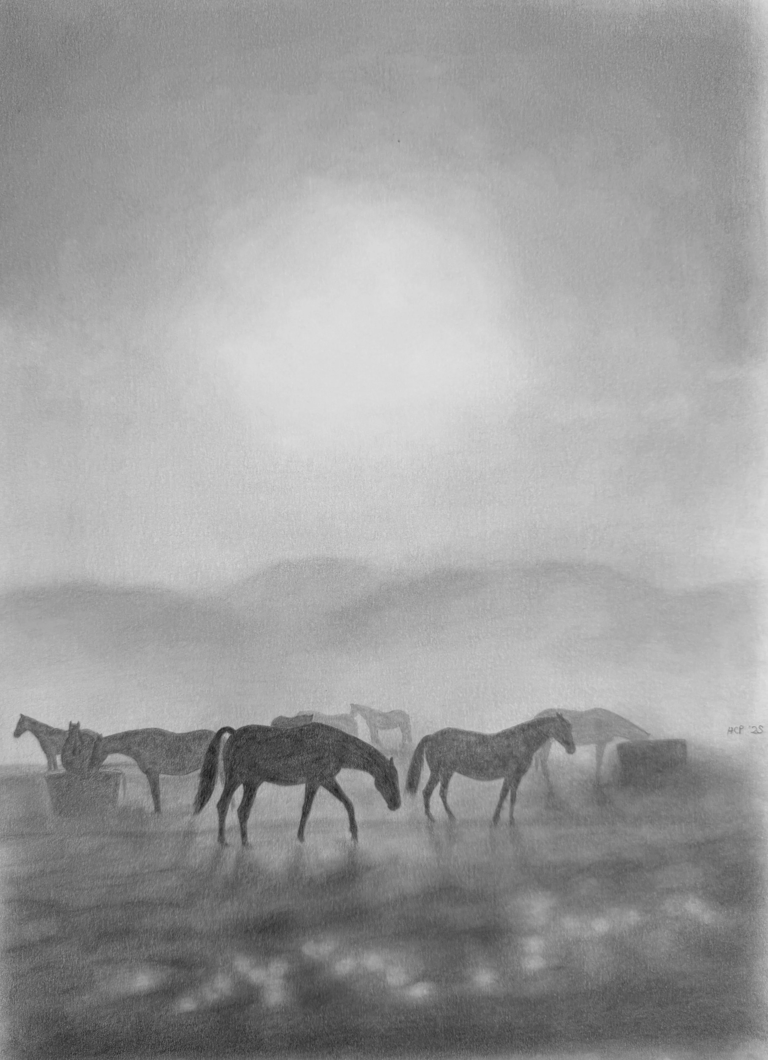 A graphite drawing of a herd of horses standing on a landscape, with mountains in the background and a cloudy sky above.