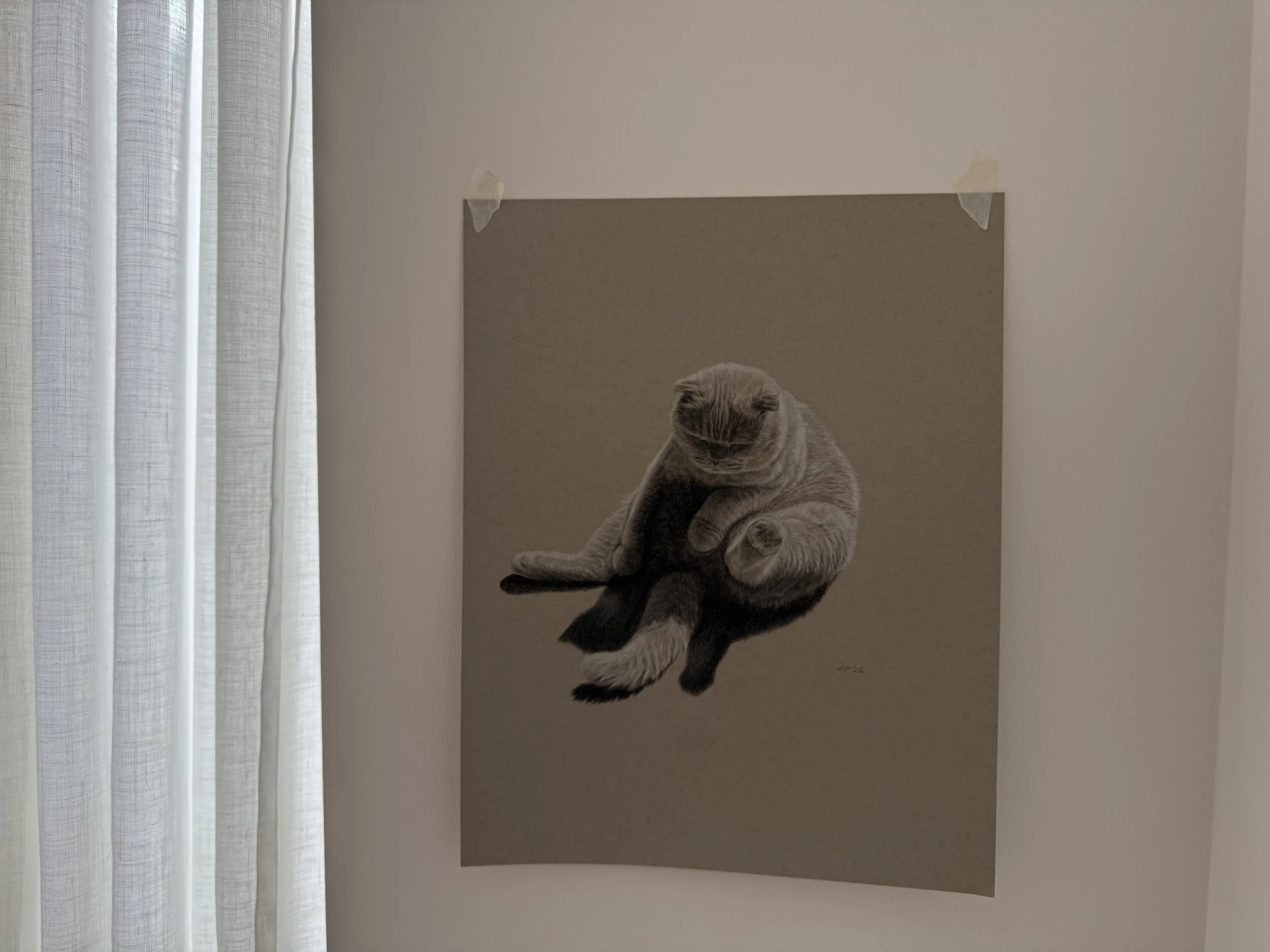 coloured-pencil-drawing-cat.JPEG