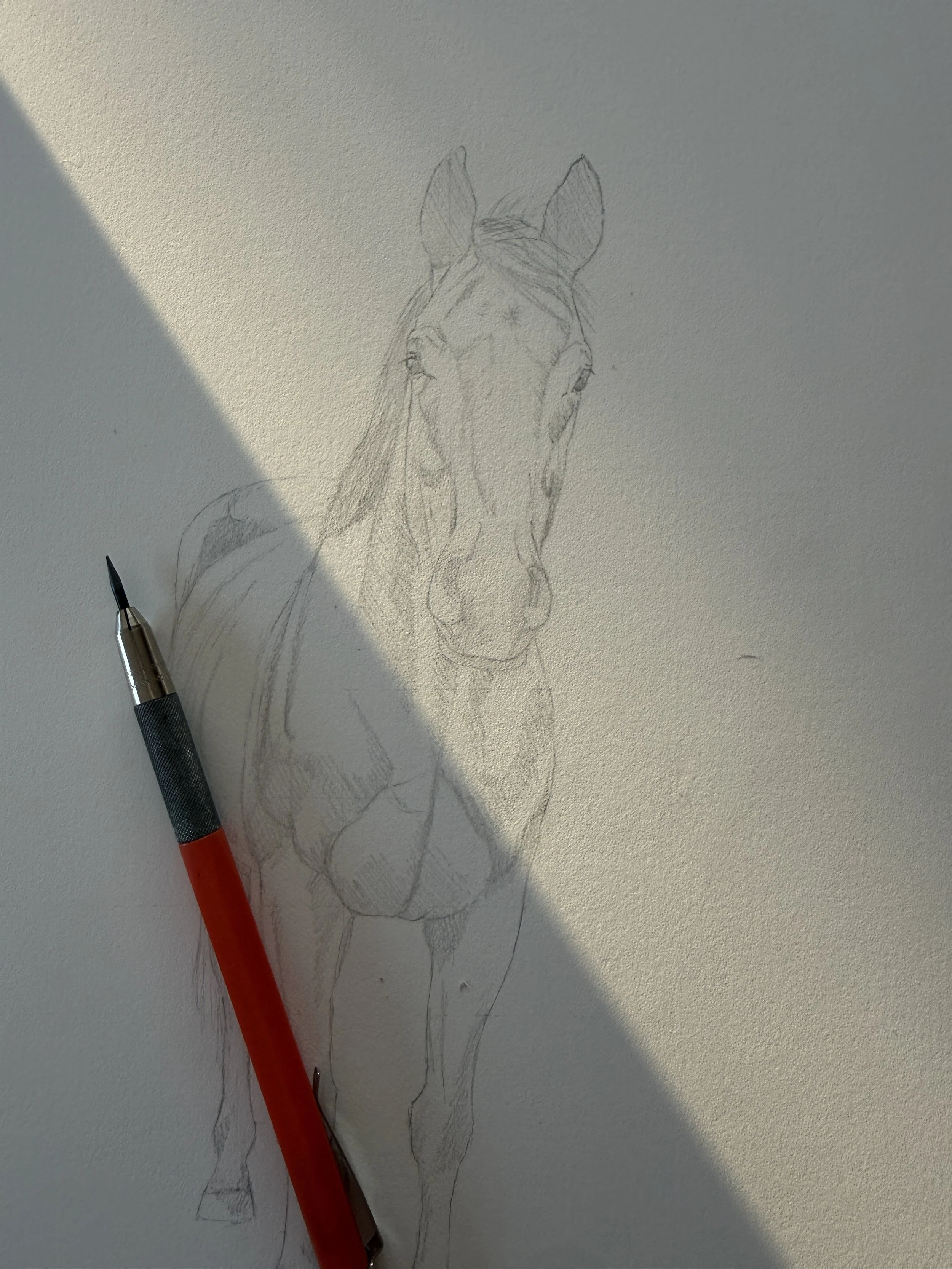 A pencil sketch of a horse's head and upper body on white paper, with a pen resting on the paper.