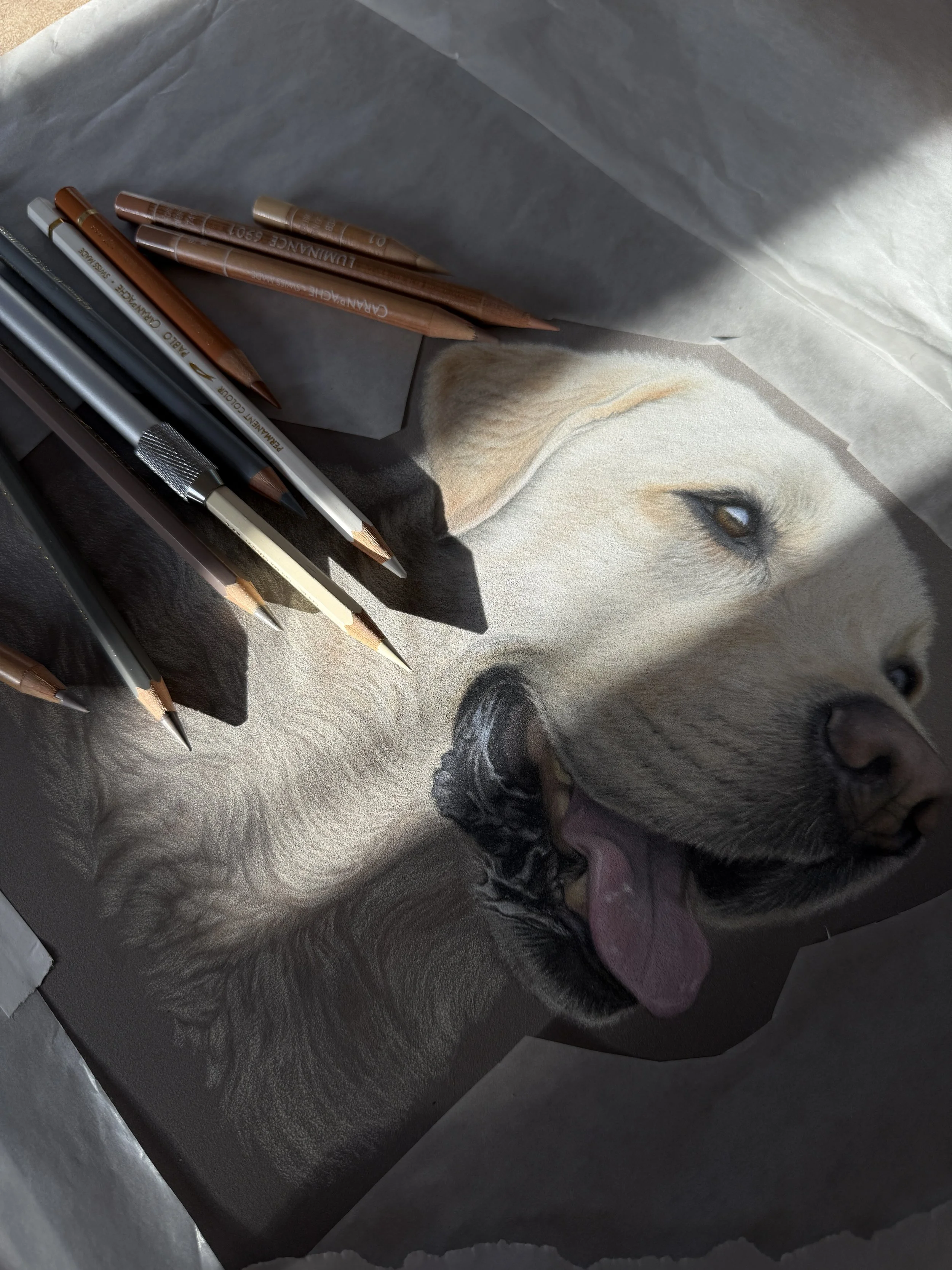 A realistic painting of a yellow Labrador retriever puppy with its tongue out, lying down on a surface, with some art pencils and drawing tools placed on top of the painting.
