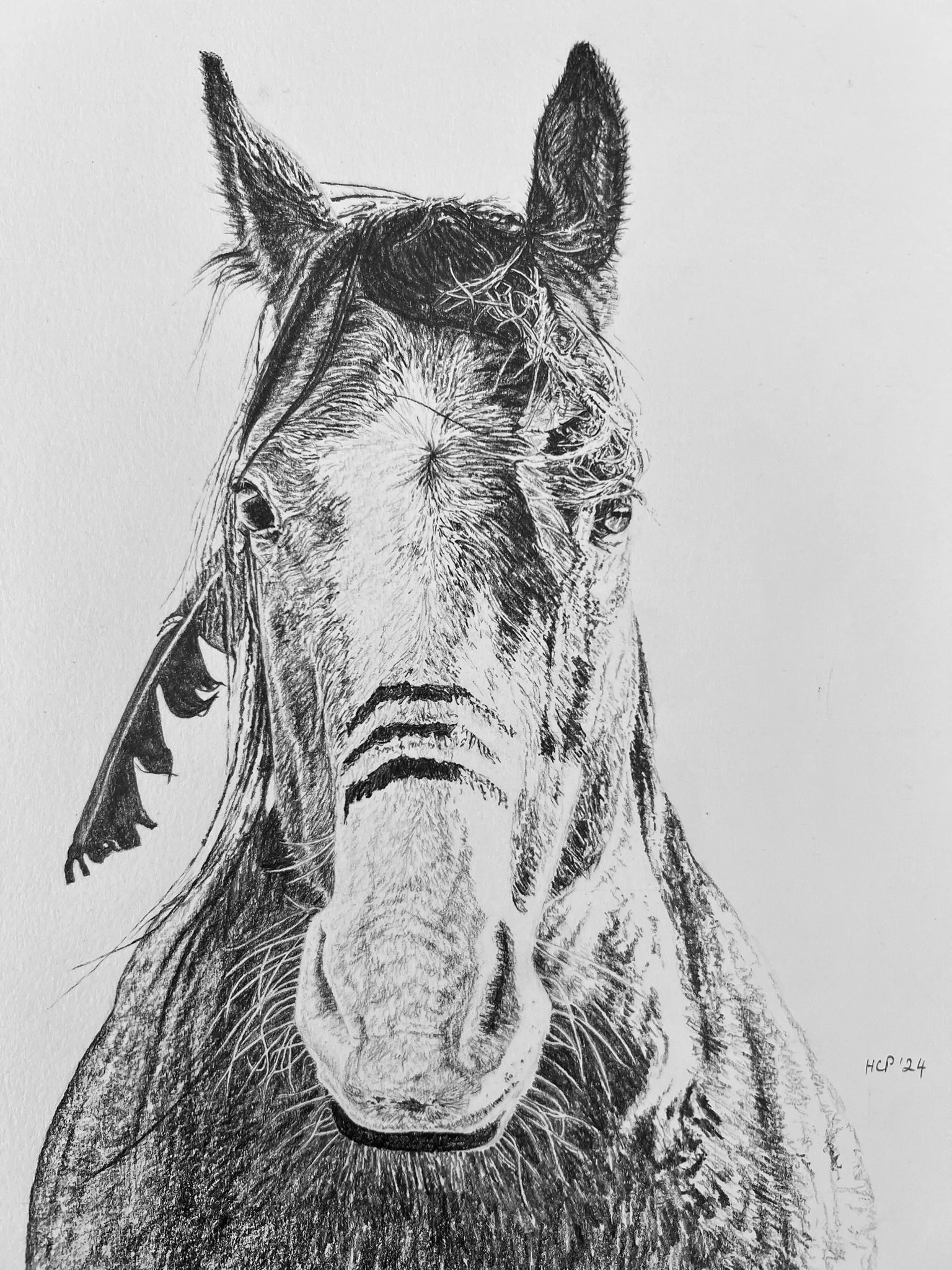 A detailed black and white pencil drawing of a dog's face, highlighting its eyes, nose, and fur texture.
