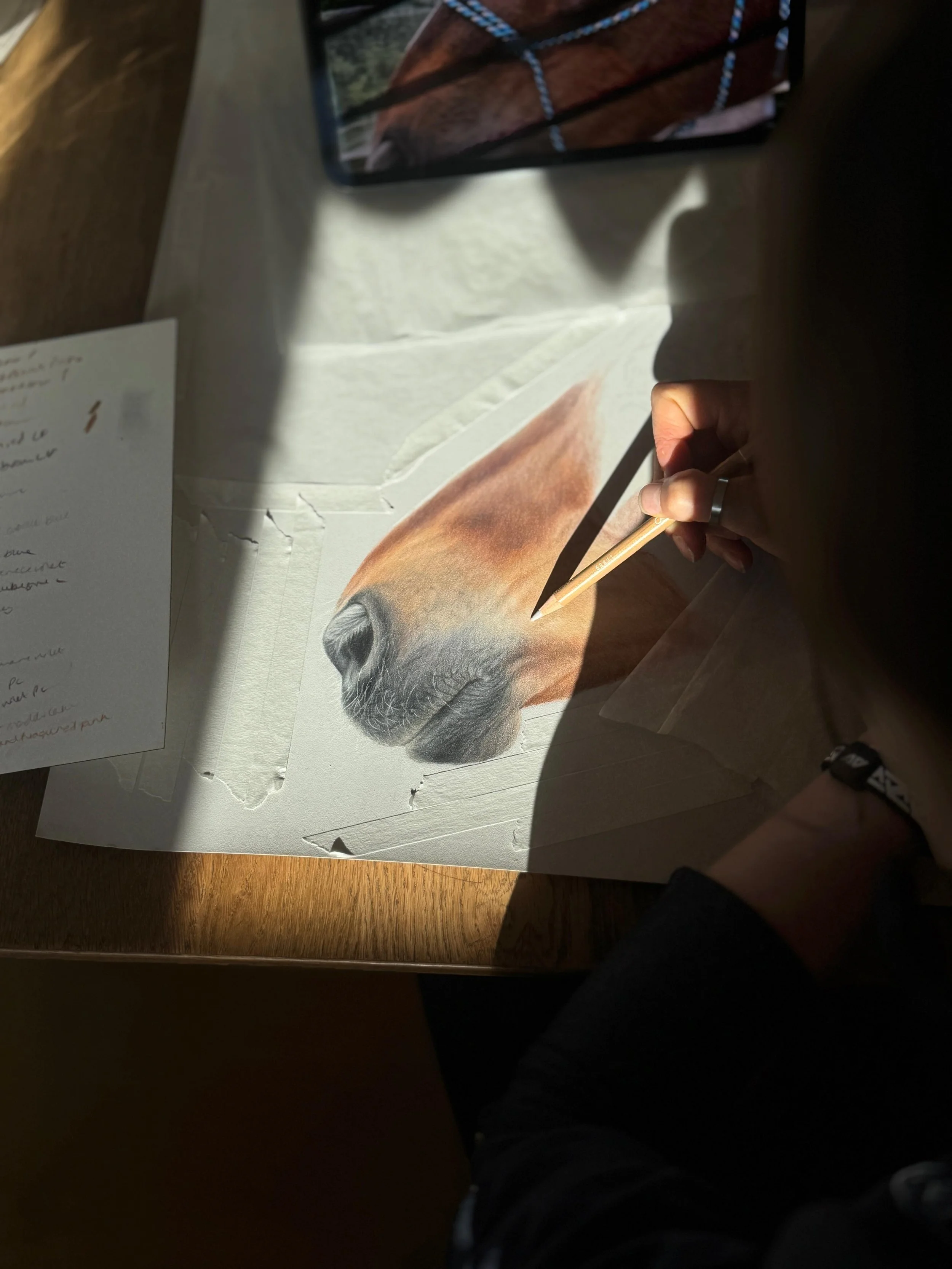 Artist sketching a detailed portrait of a horse's head on paper.