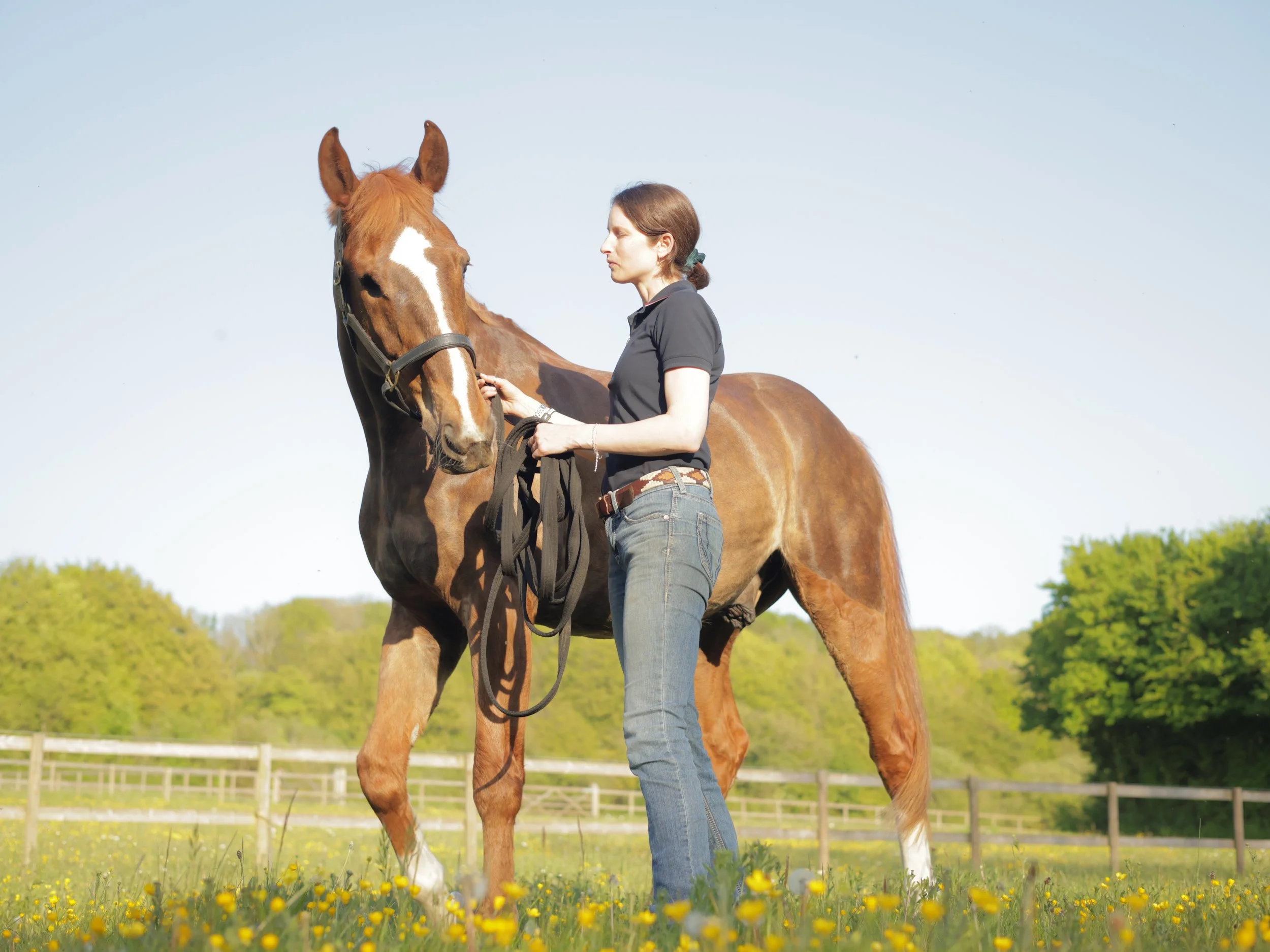 A woman in a black shirt and jeans standing next to a chestnut horse in a grassy field with yellow flowers and trees in the background.