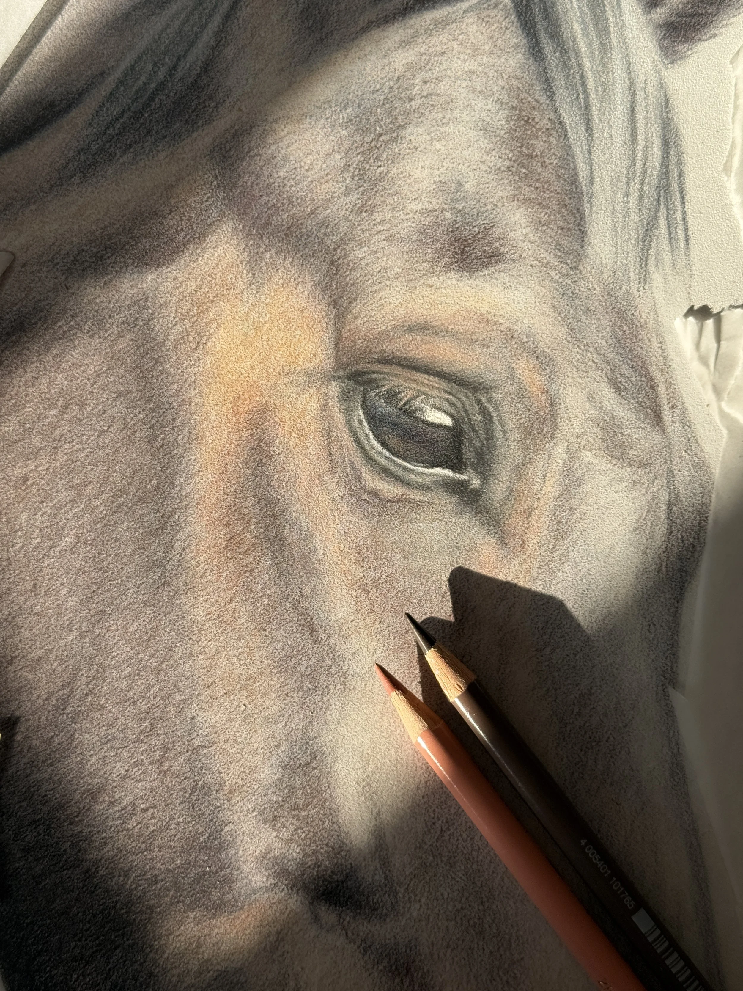 Close-up of a detailed shaded drawing of a baby's nose and eye, with two colored pencils resting on the paper.