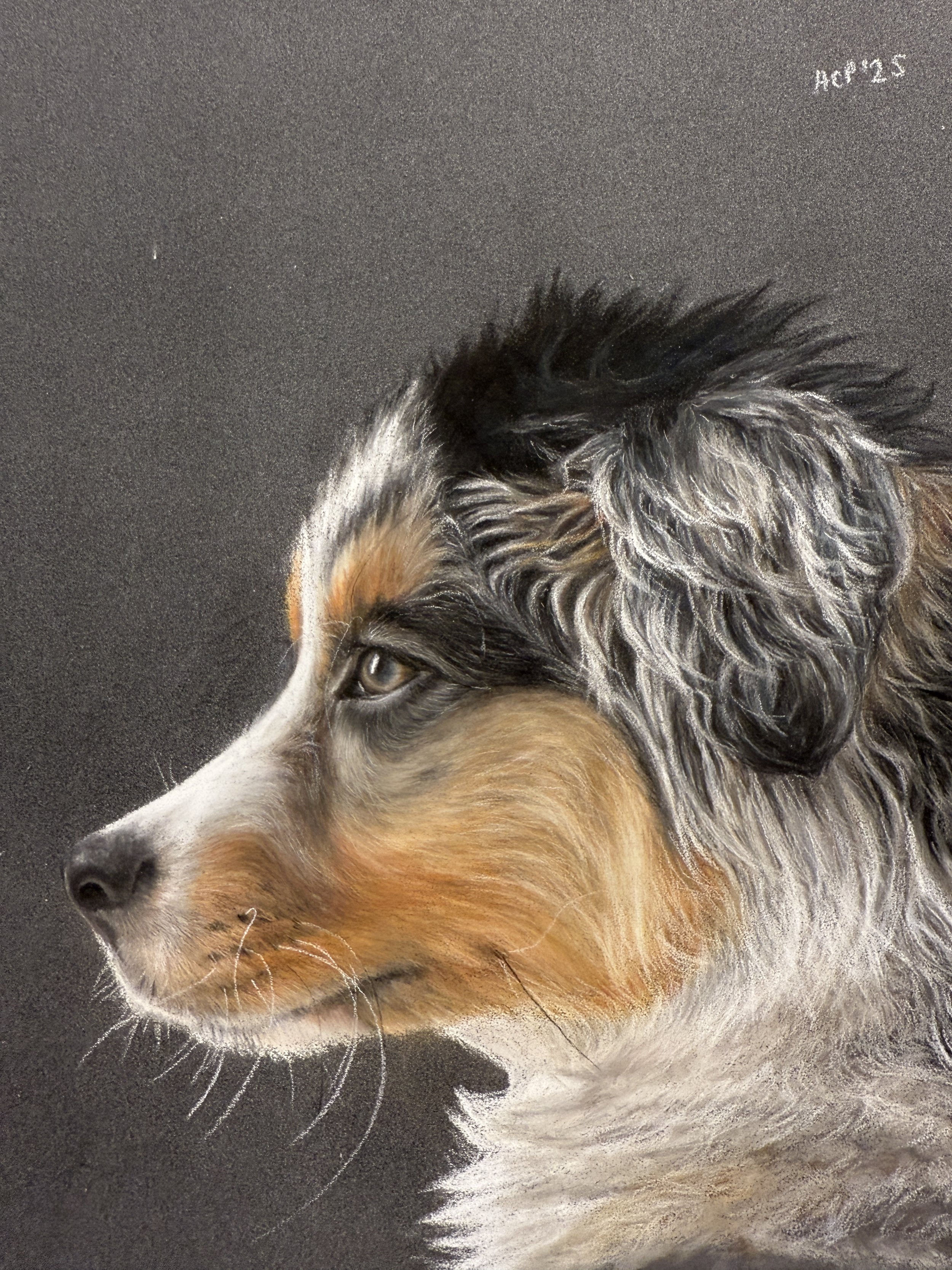 Close-up of a realistic painting of a dog, focusing on its face in profile, with detailed fur and expressive eye.