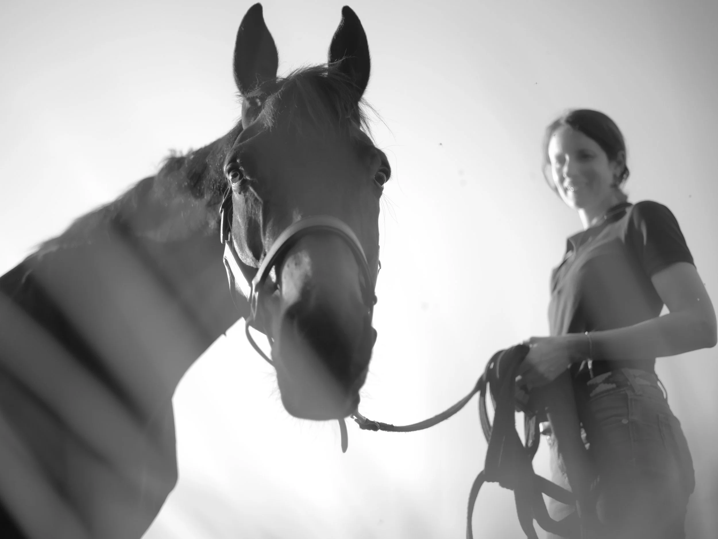 Black and white photo from below of a woman and a horse, with the woman holding the horse's bridle, both looking towards the camera, against a clear sky.