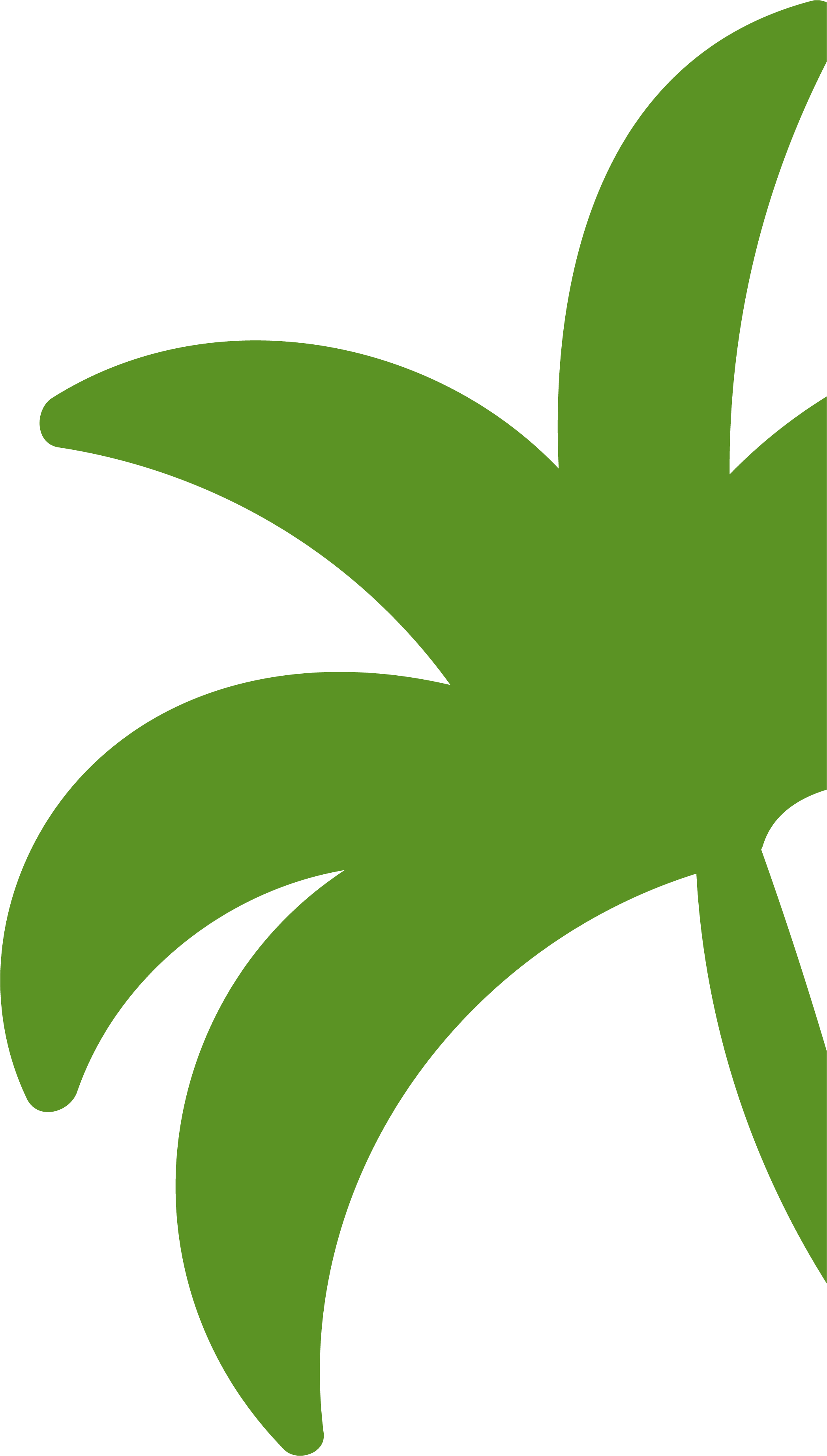 Green abstract leaf shapes on a black background.