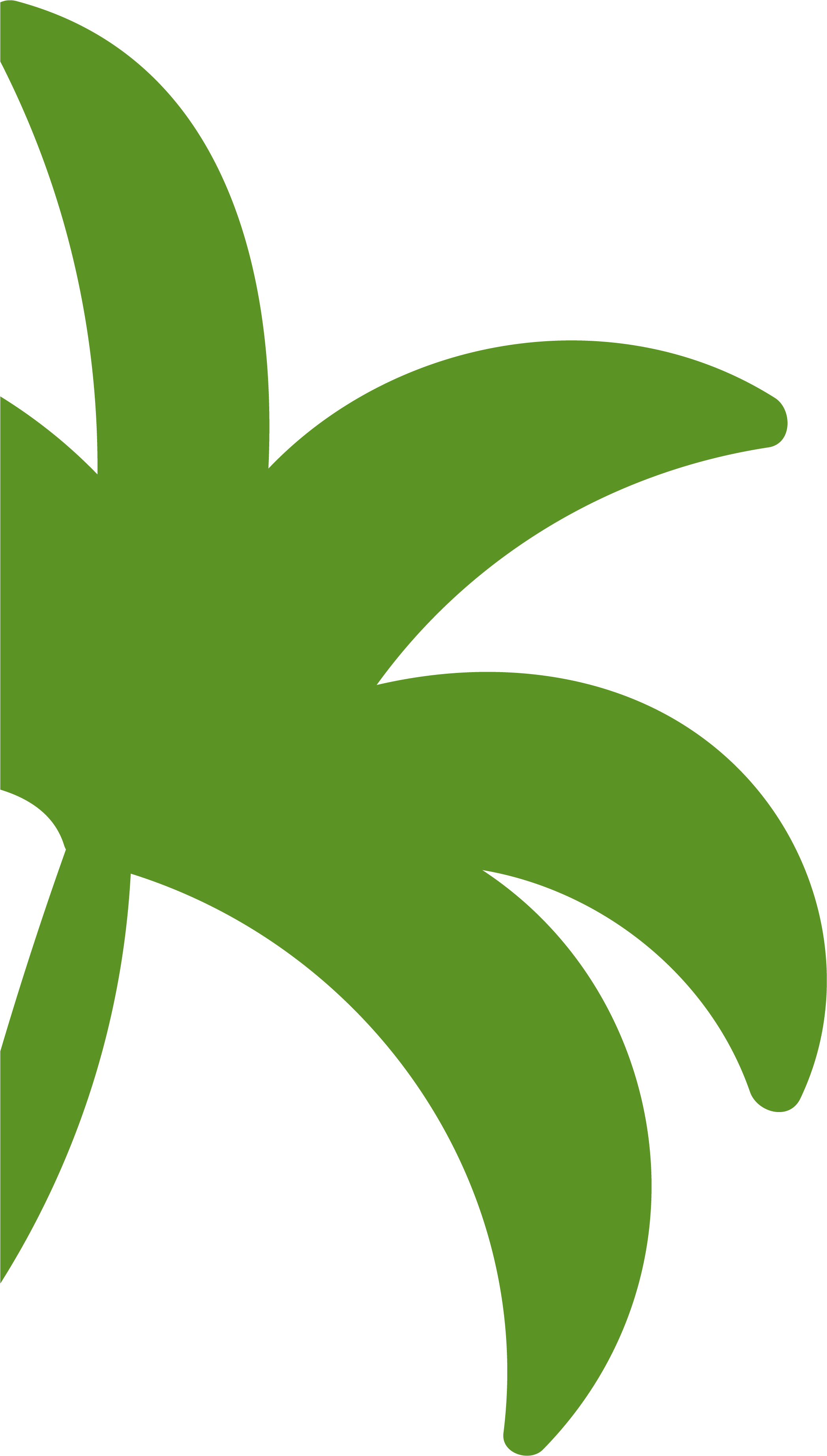 Green stylized palm leaves on a black background.