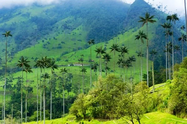 Acceso a la tierra en Colombia