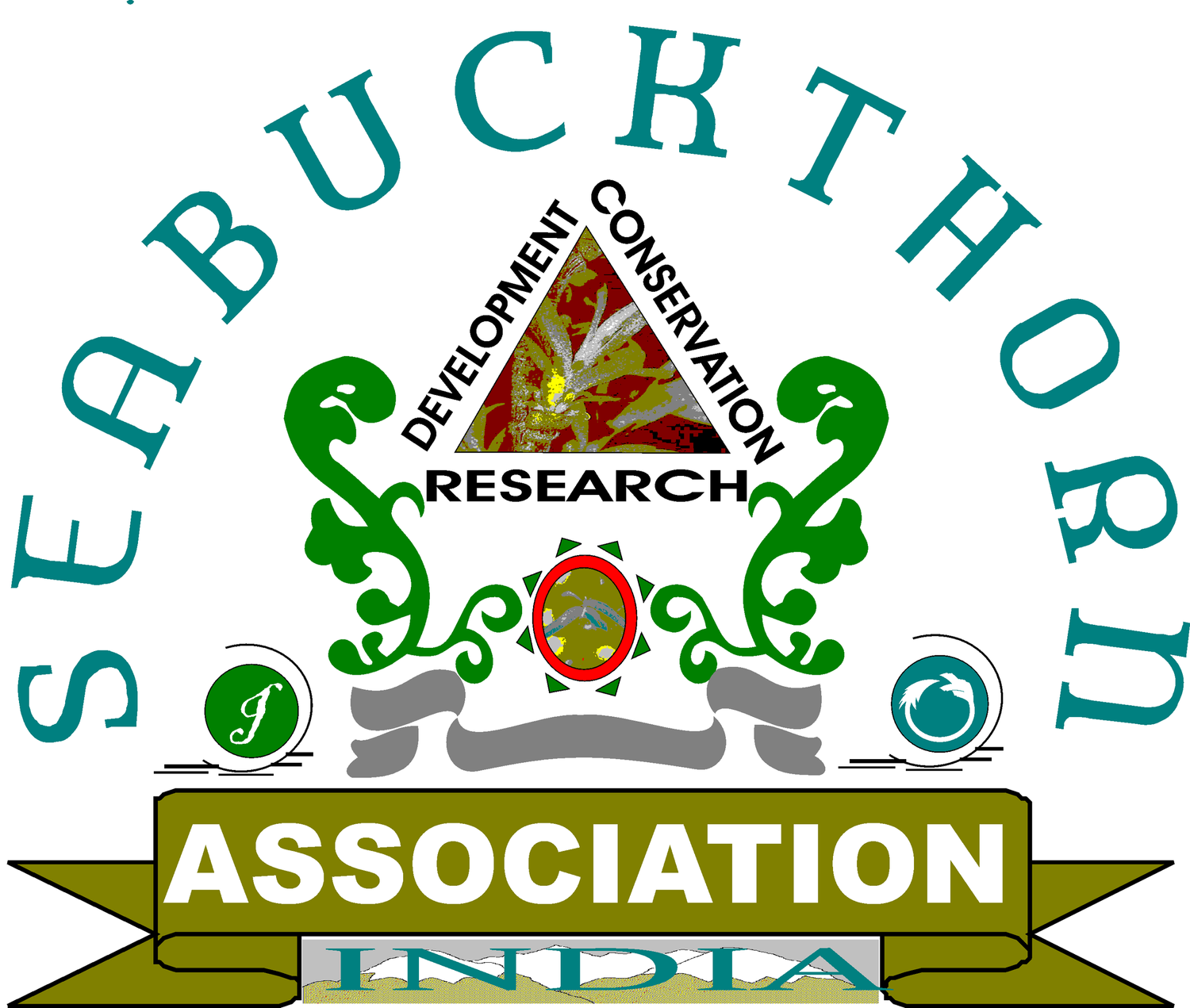 Seabuckthorn Association of India