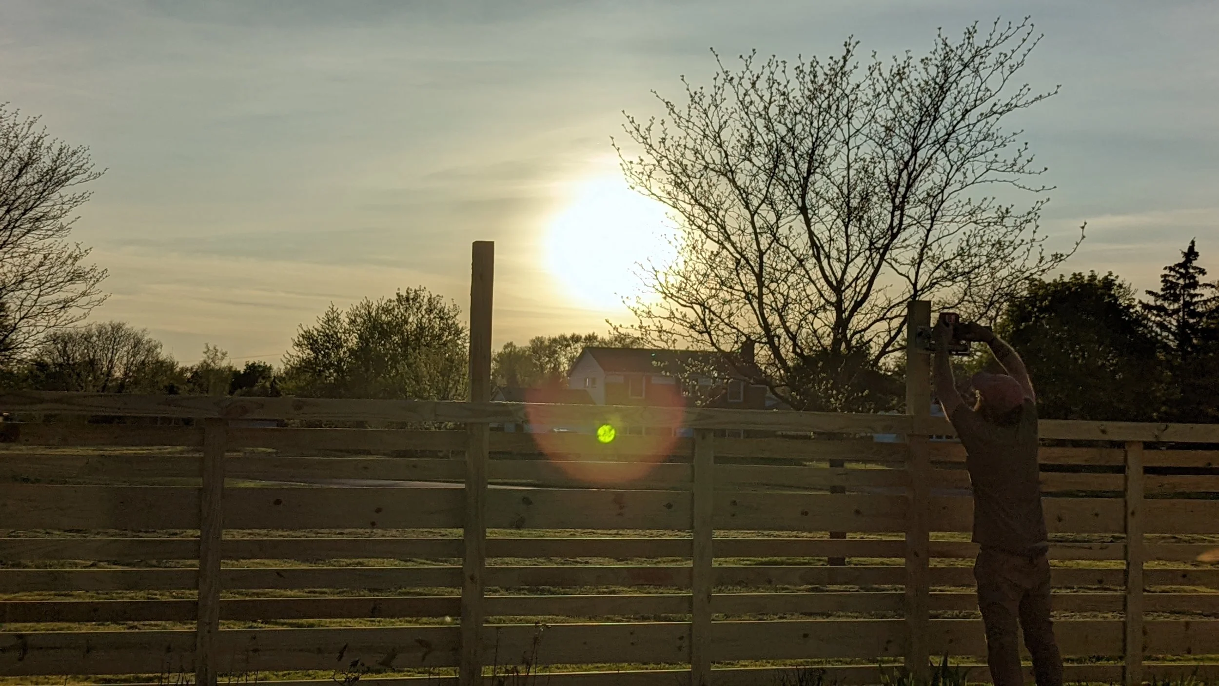 Sun setting over a suburban backyard, with leafless trees, a wooden fence, and a person working on a fence post.
