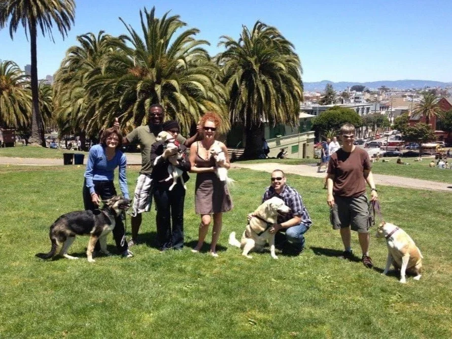 A tripawd dog greets visitors at the 3-Legged Dog Picnic in San Francisco.
