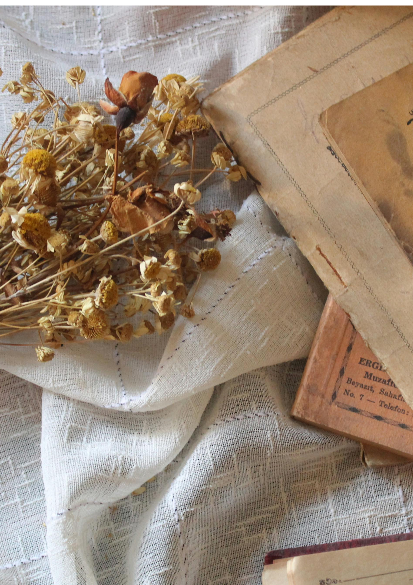 Trockene Blumen und ein altes Buch liegen auf einem weißen, getrockneten Tuch.