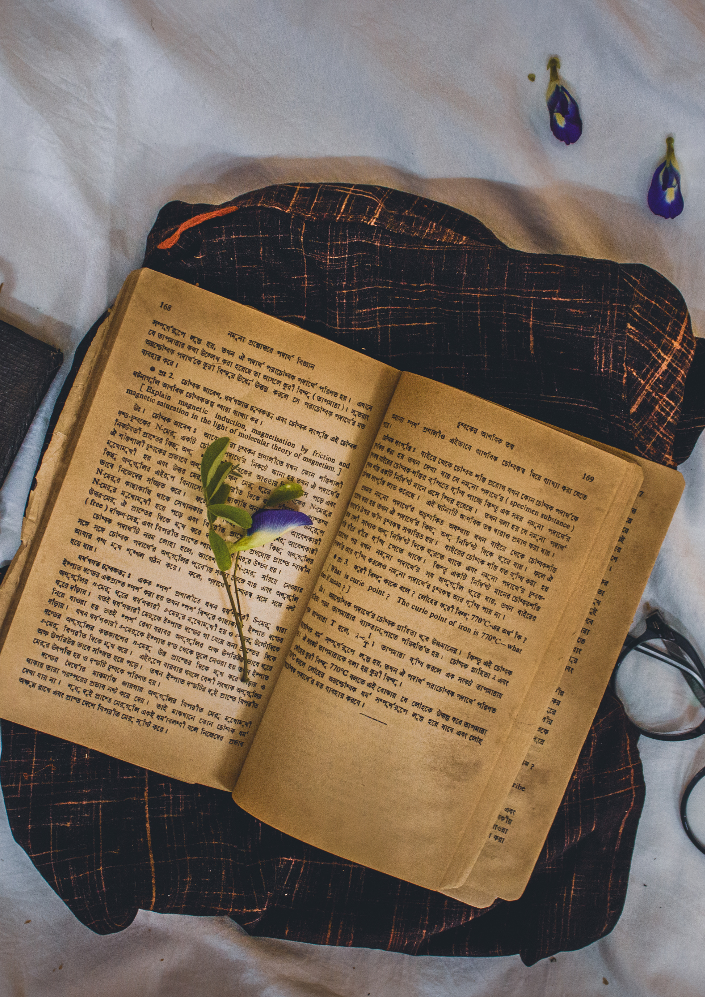 Aufgeschlagenes Buch mit Text und eine kleine lila Blume auf der Seite, auf einem schwarzen und roten karierten Stoff. Im Hintergrund befinden sich drei blaue Blumen und ein weißes Tuch.