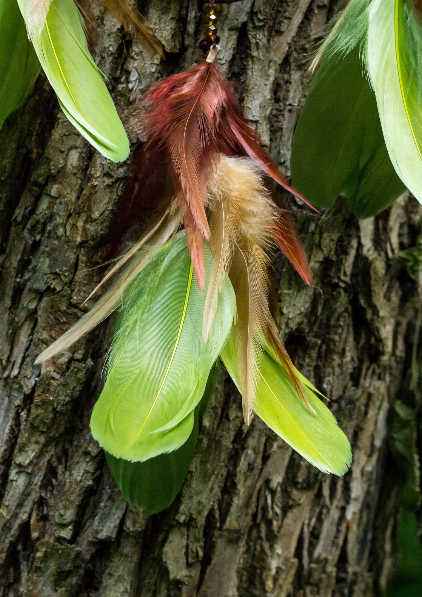 Farbige Federn an einem Baum als Symbol für Individualität, Leichtigkeit und unterschiedliche persönliche Qualitäten bei Soul-Spa-Berlin Traumarbeit.