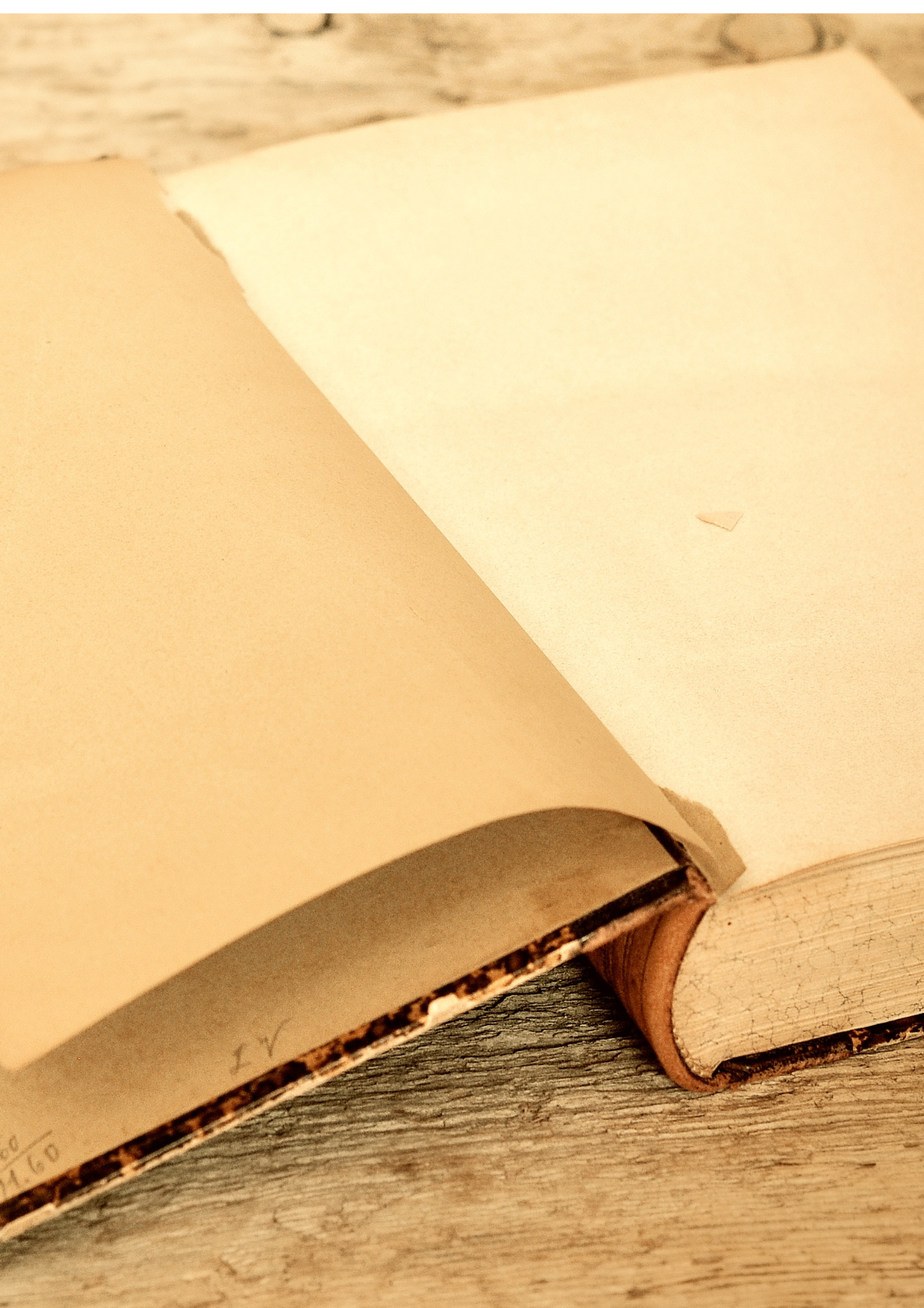 Ein offenes Buch mit leeren, gelblichen Seiten liegt auf einem Holz Tisch.
