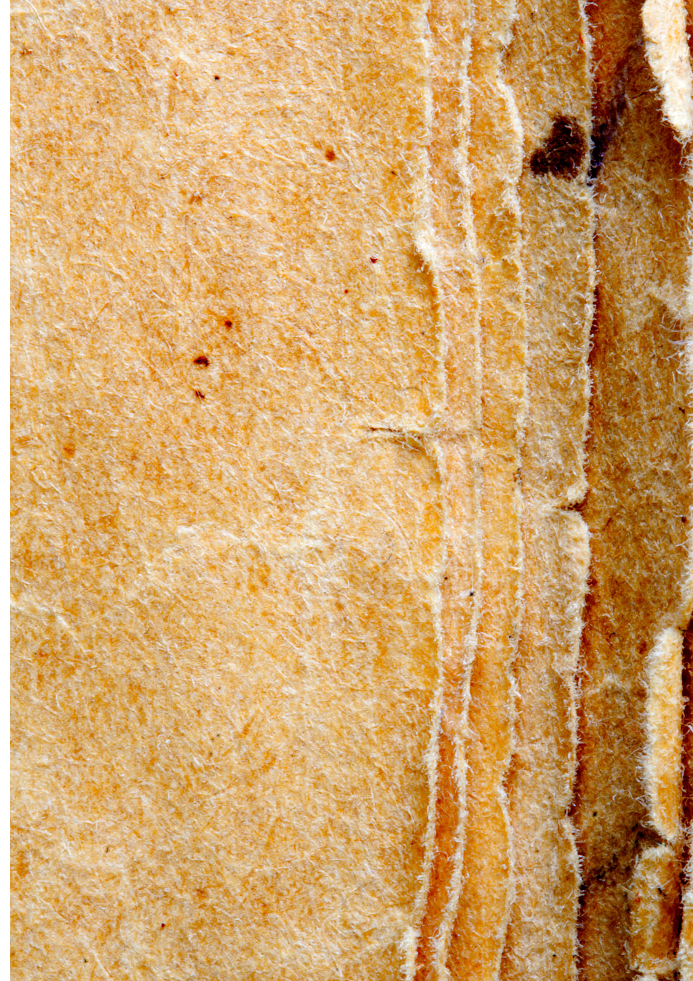 Nahaufnahme von dünnen Scheiben getoastetem Brot mit knuspriger Oberfläche.