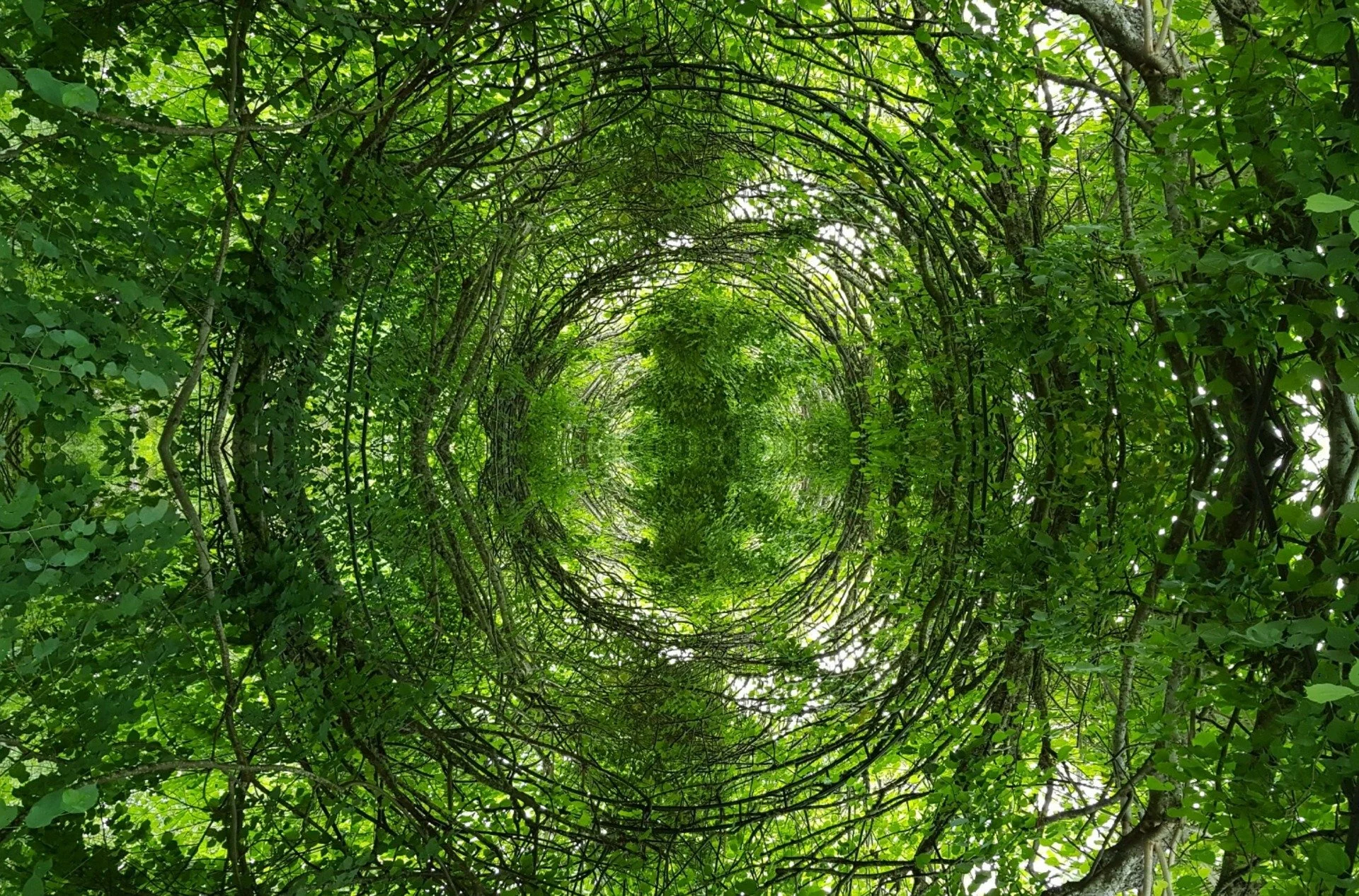 QHHT Berlin Hypnose