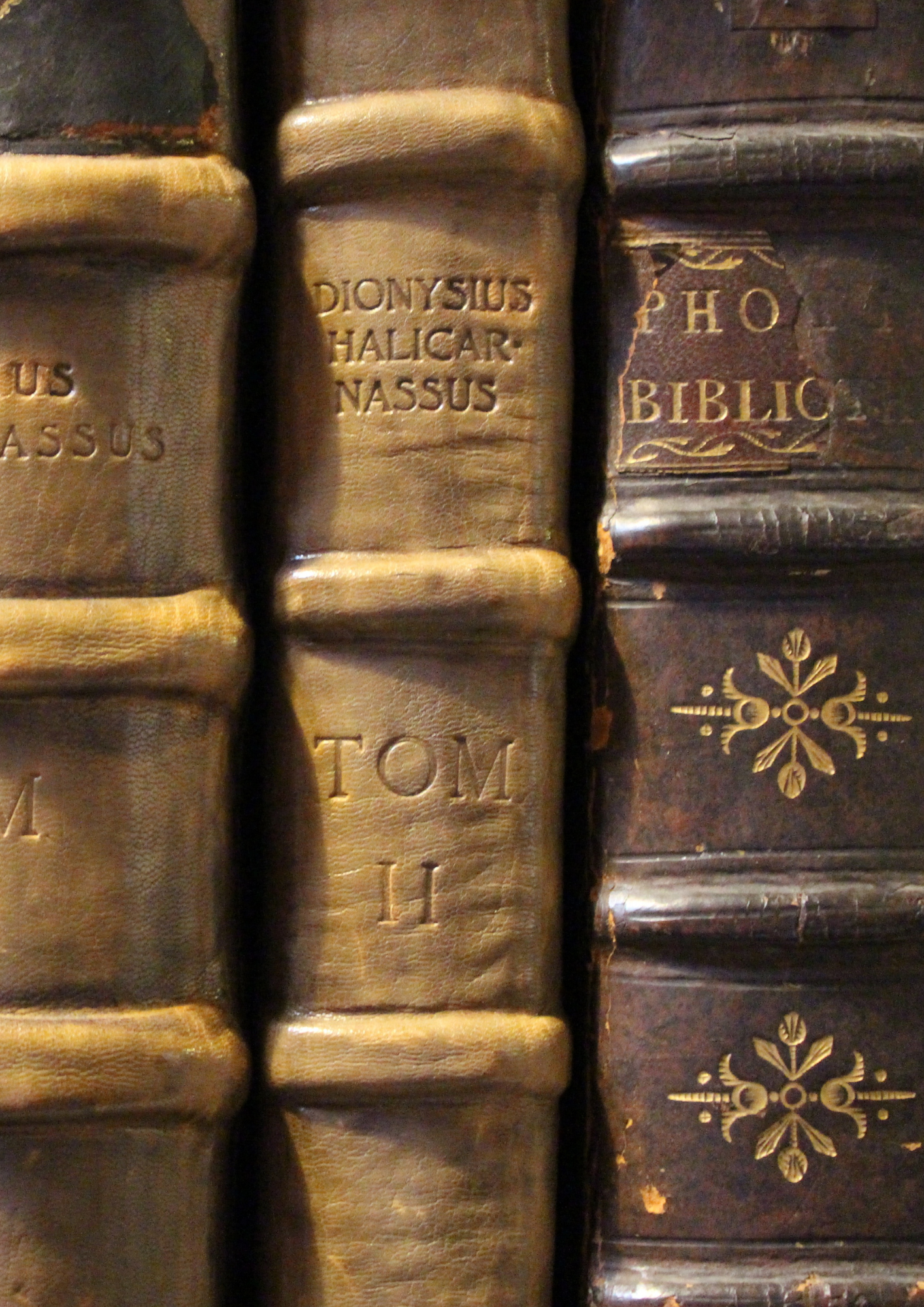 Alte, ledergebundene Bücher mit goldener und brauner Beschriftung