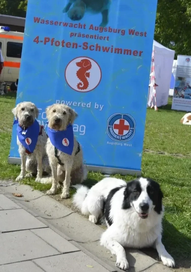Billy und Samba mit Eddi bei Bello's Badschlacht