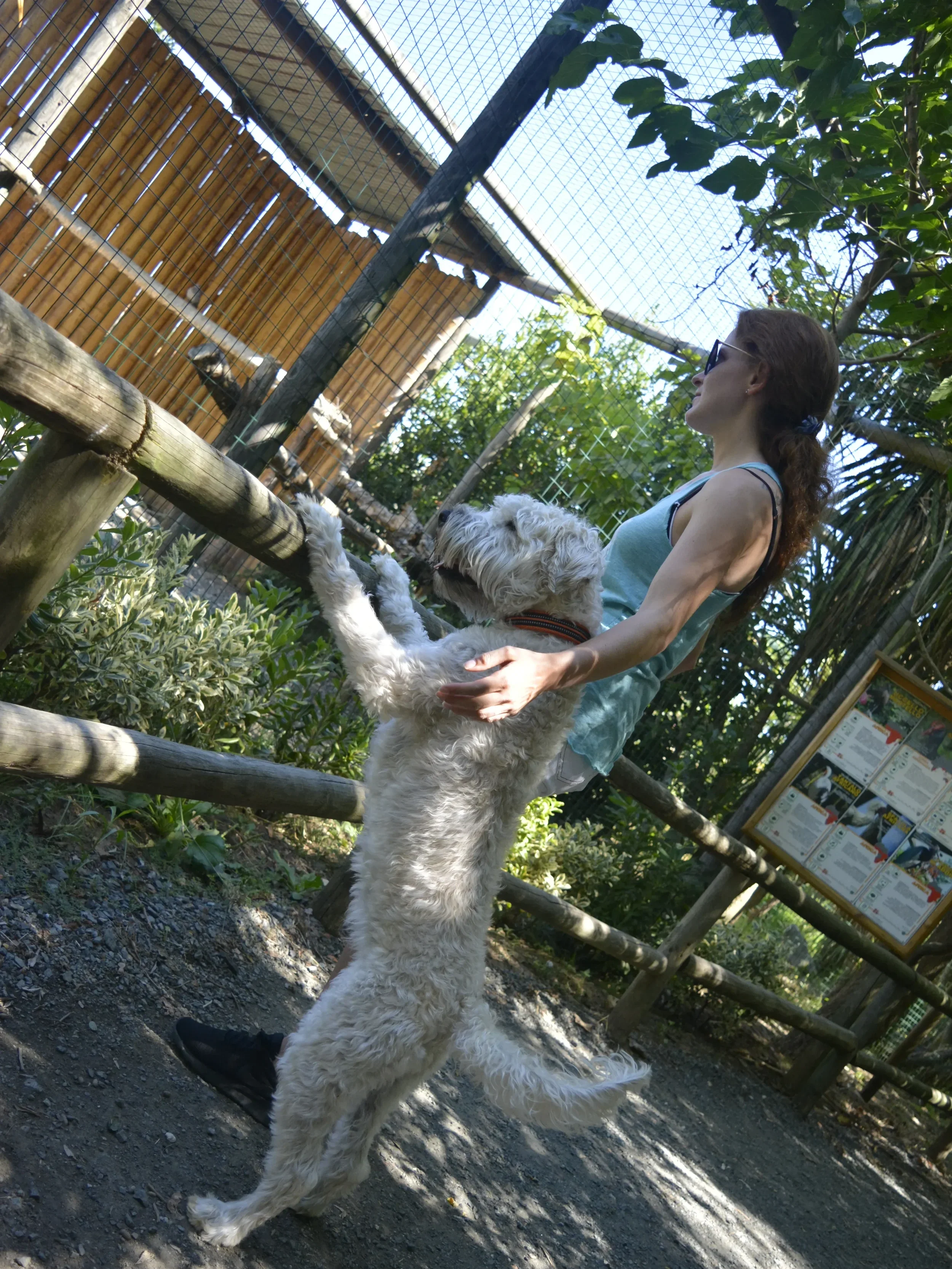Samba im Zoo