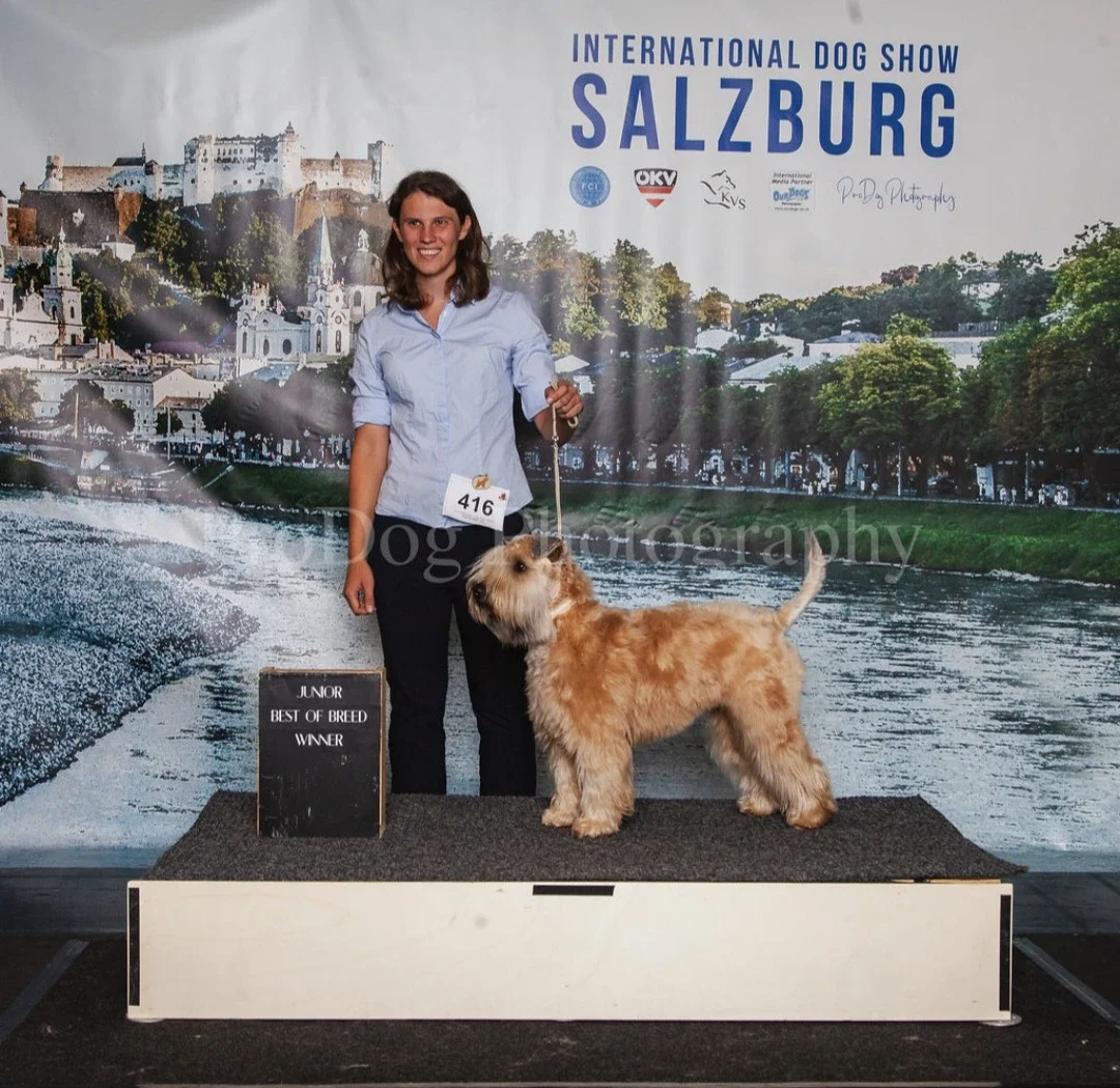 International Salzburg Winner shows