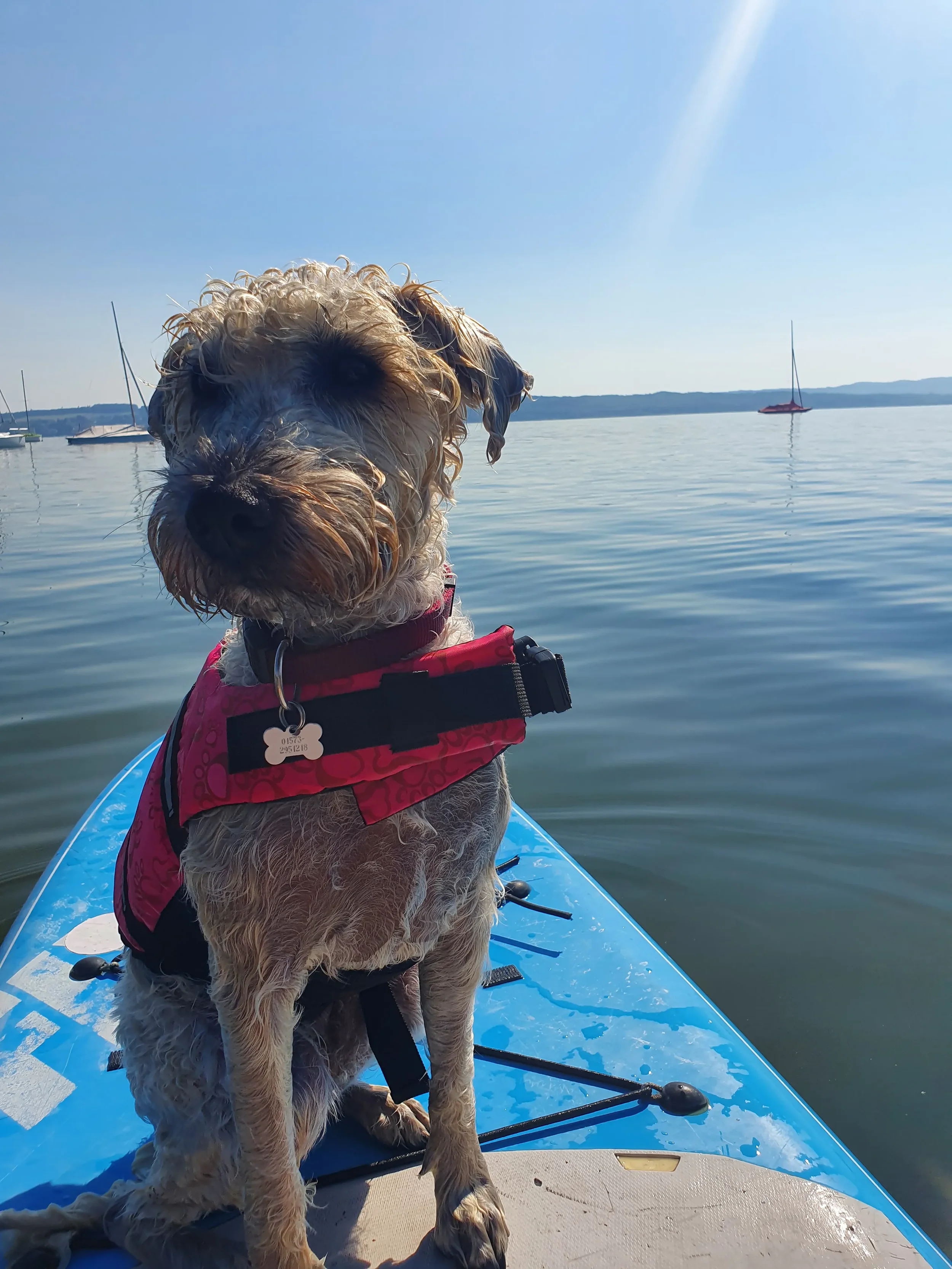 Samba auf dem SUP