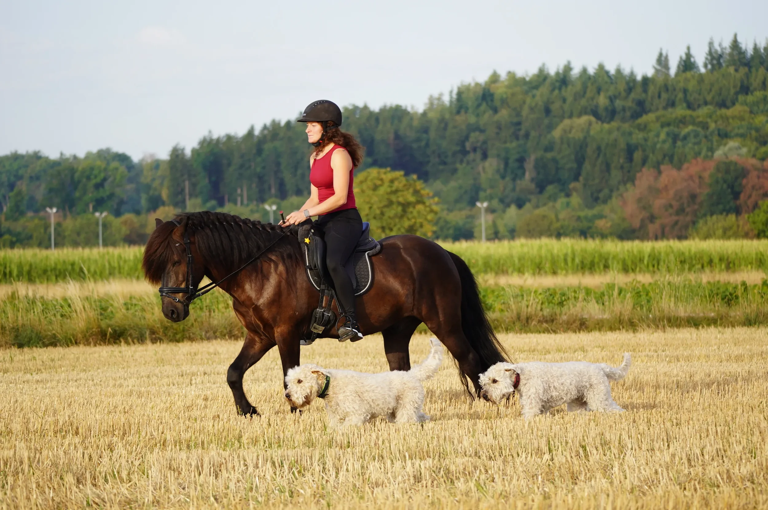 Sabrina und Frami mit Billy und Samba