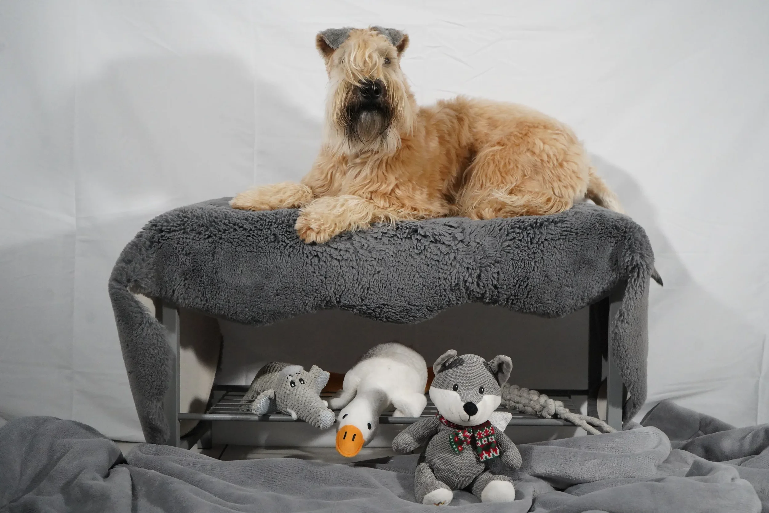 Lia mit ihren Kuscheltieren