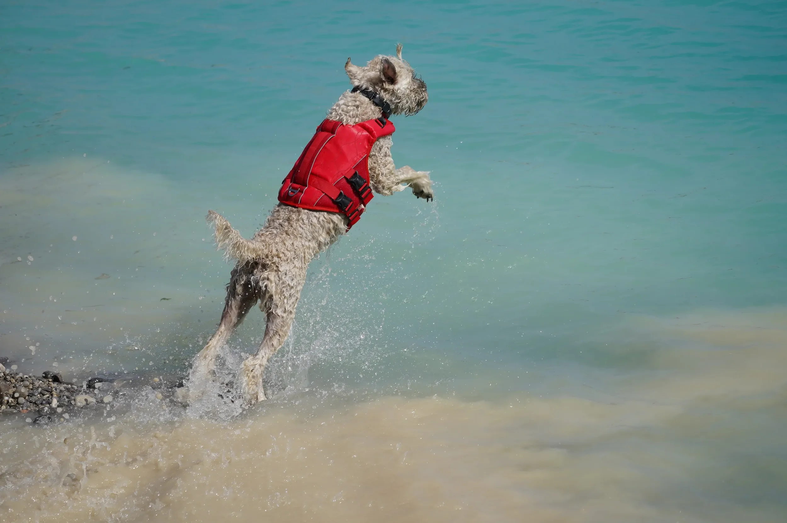 Samba im Wasser