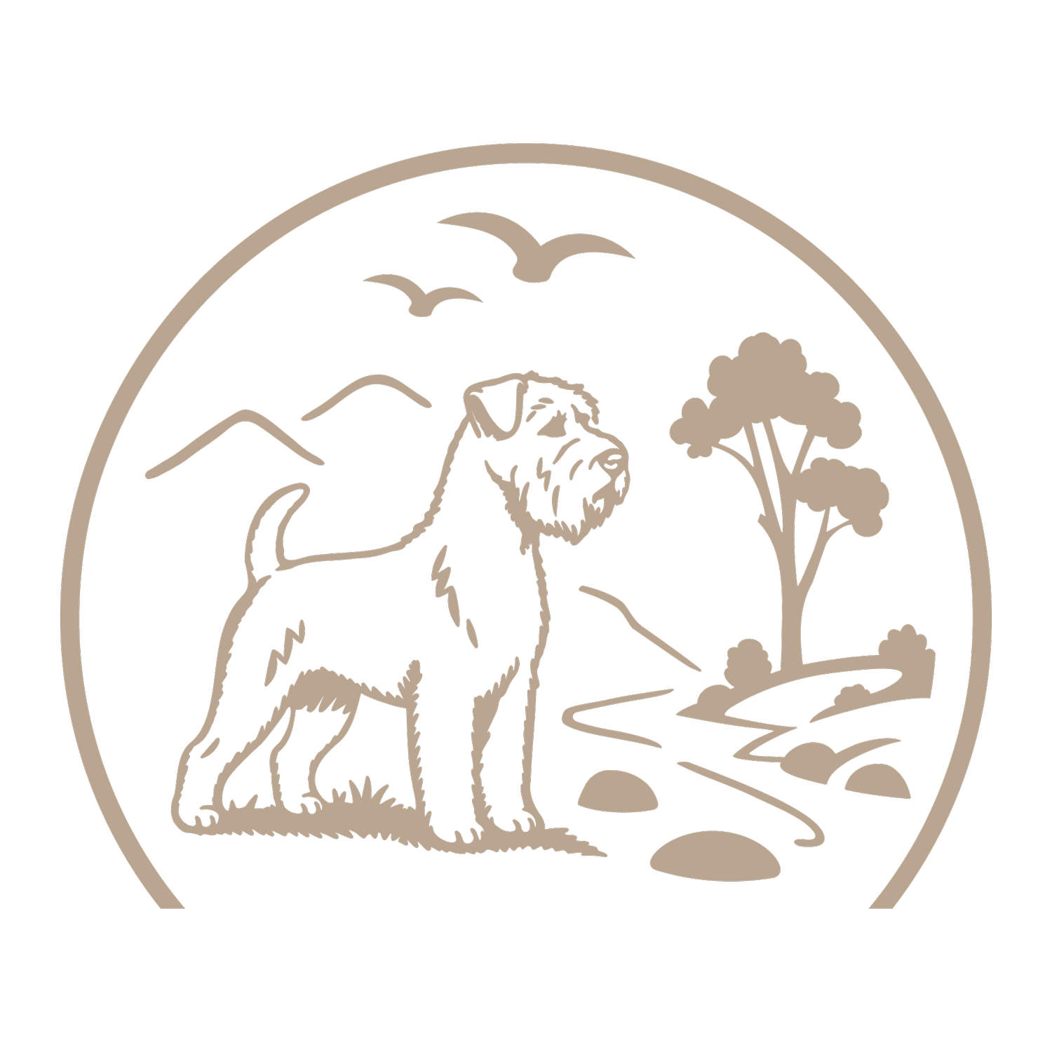 Wheaten Terrier vom Singoldtal