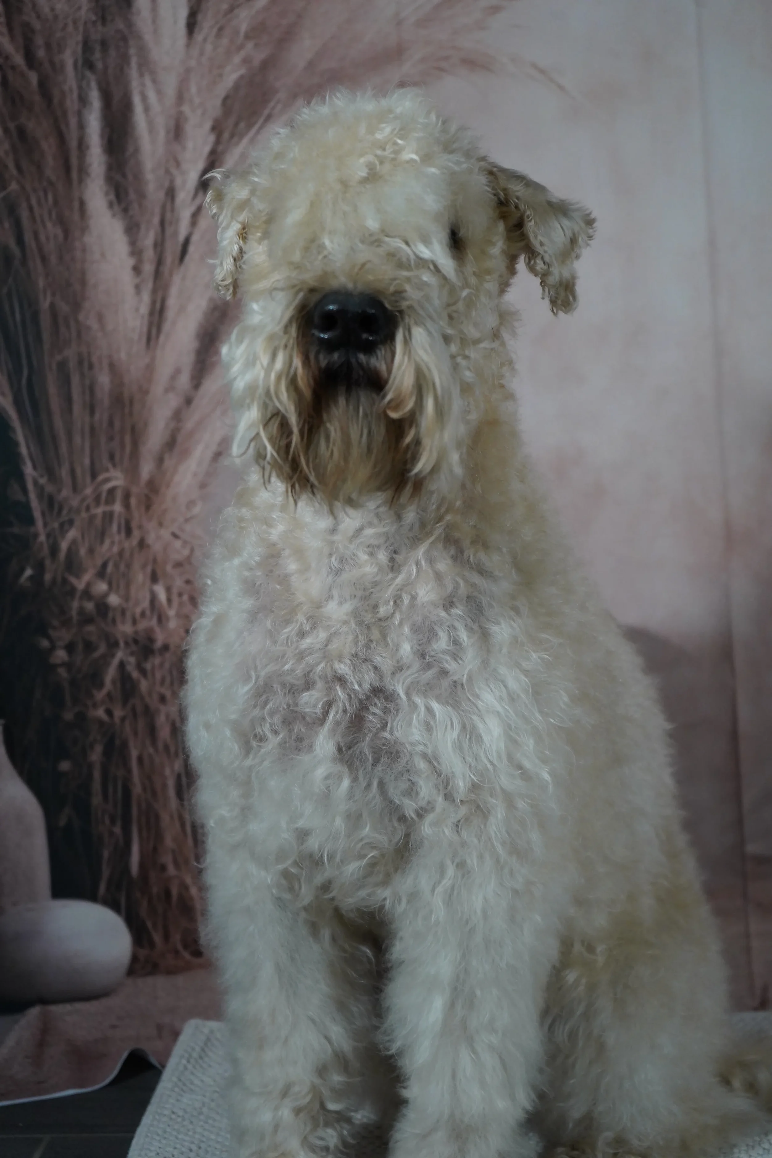 Billy