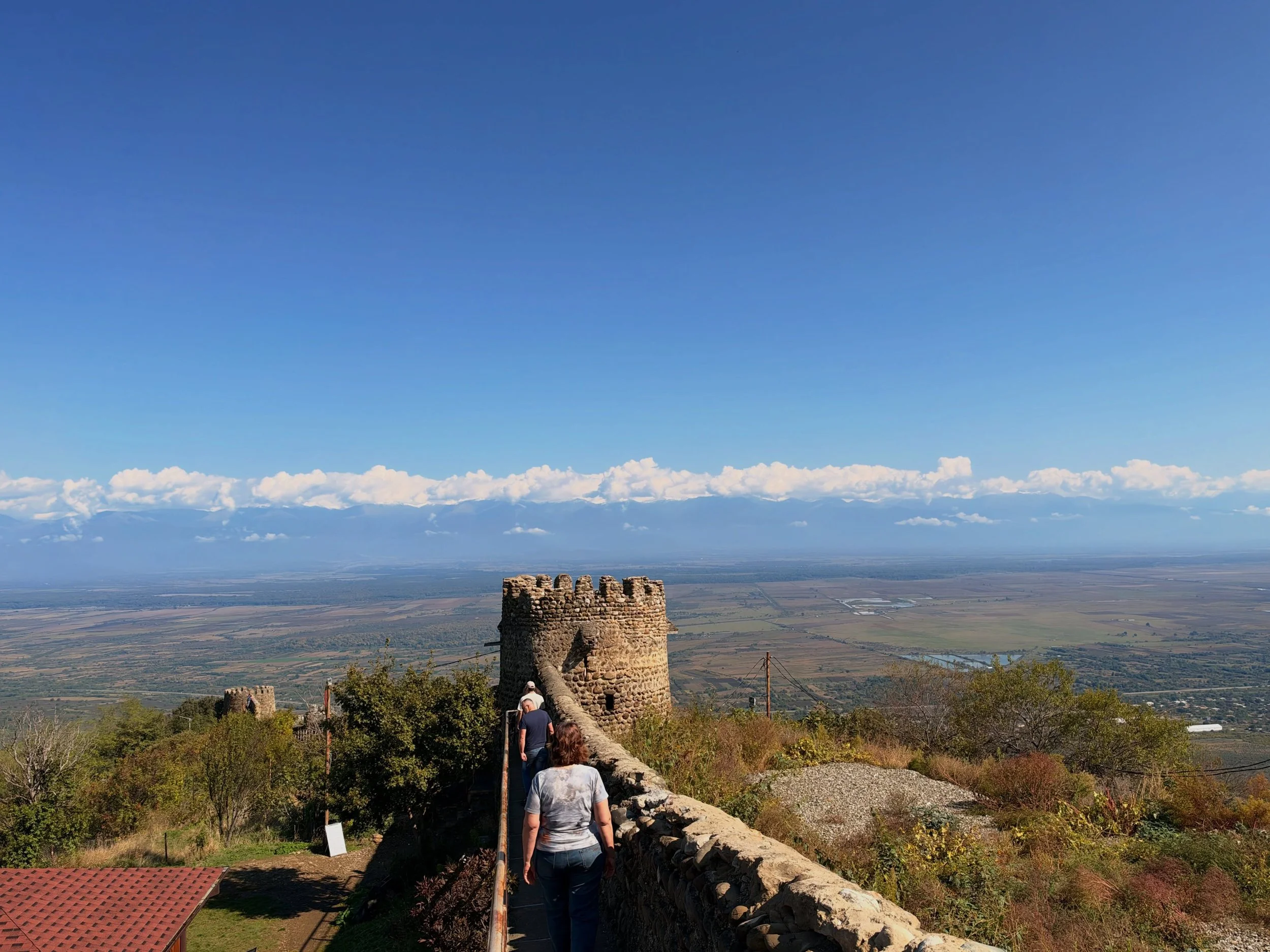 A look back at Andrea&rsquo;s recent trip to Georgia 🇬🇪

From speaking at the Guurjani Wine Festival to connecting with wineries and exploring Georgia&rsquo;s incredible wine culture, it was a great opportunity to share insights on the Canadian mar