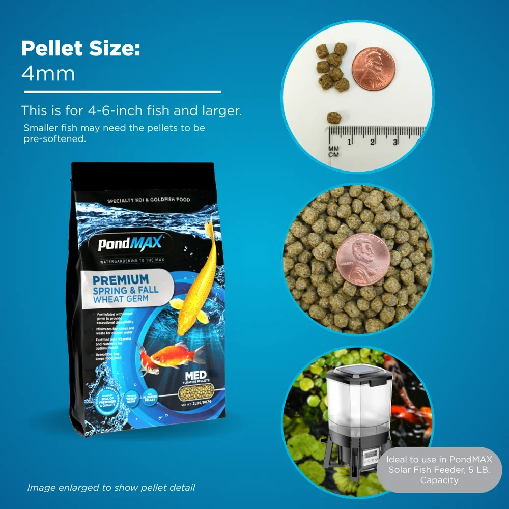 PondMAXSpring_FallWheatGermPelletSize.webp